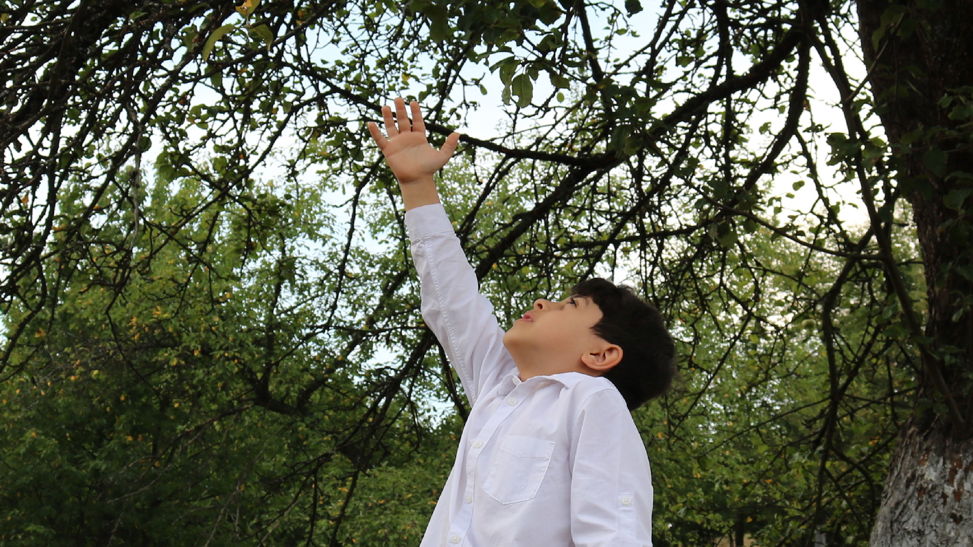 Backdrop for Shadows of Yugoslavia