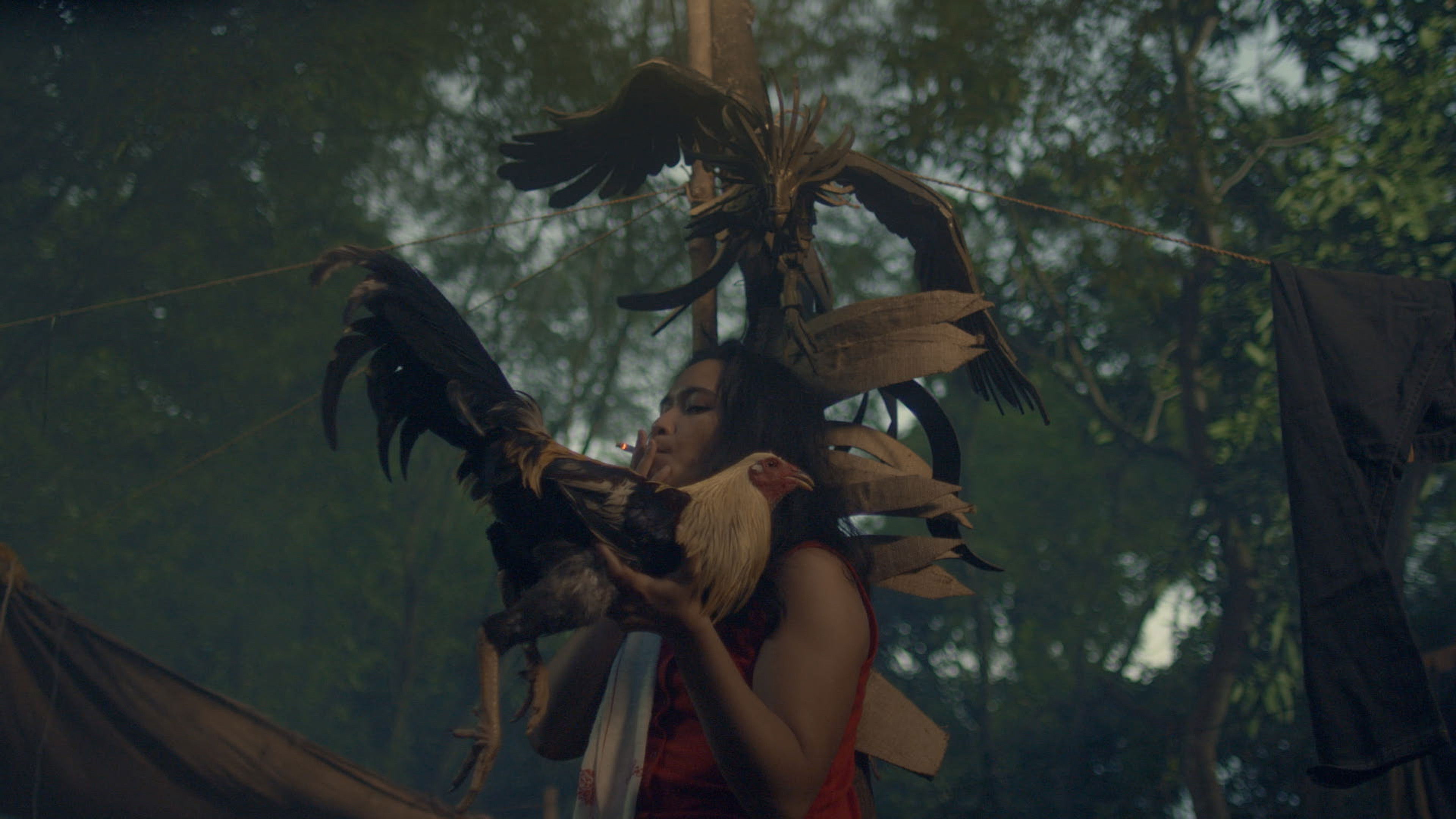 Backdrop for Radikals