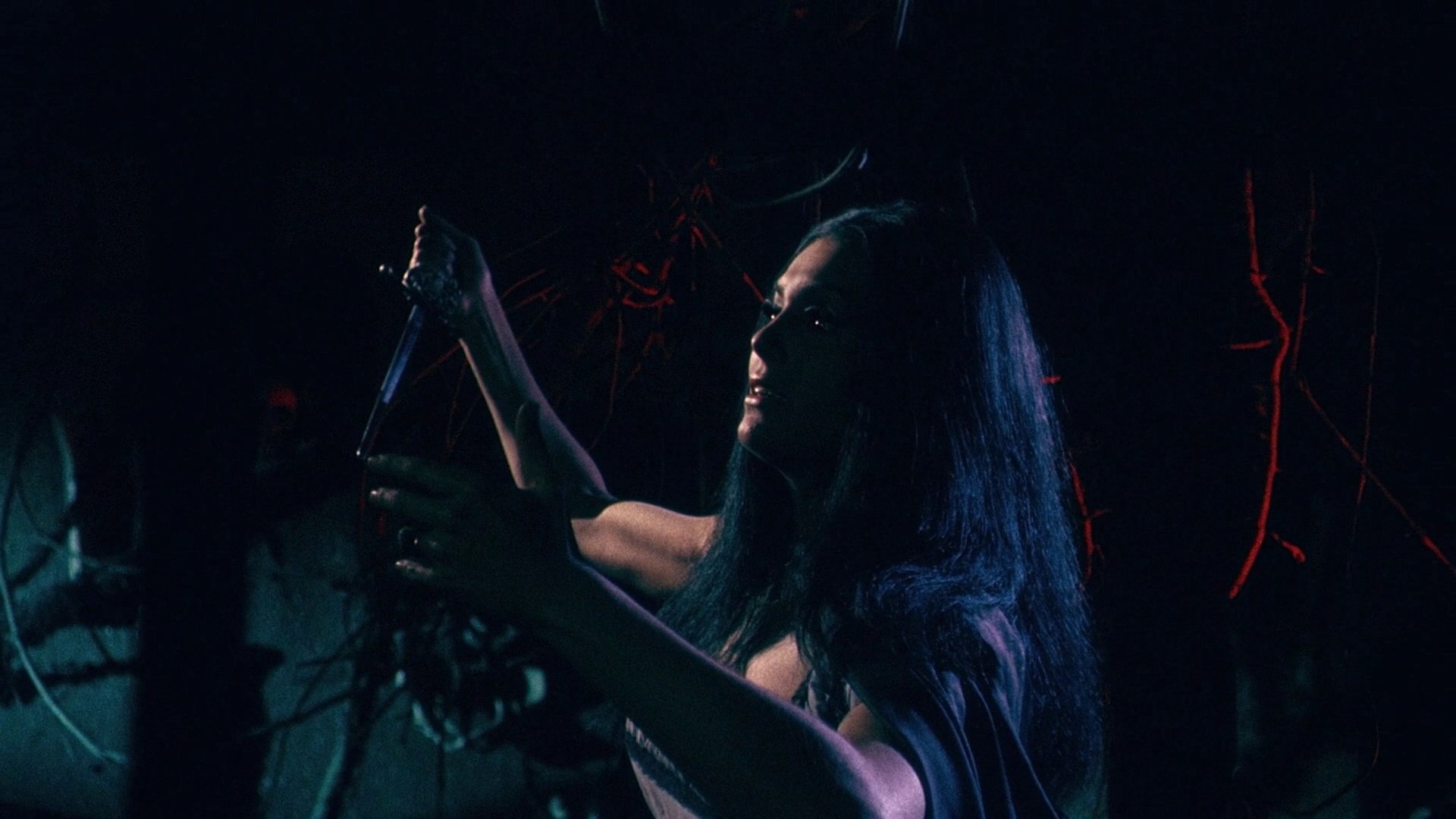 Backdrop for The Whip and the Body