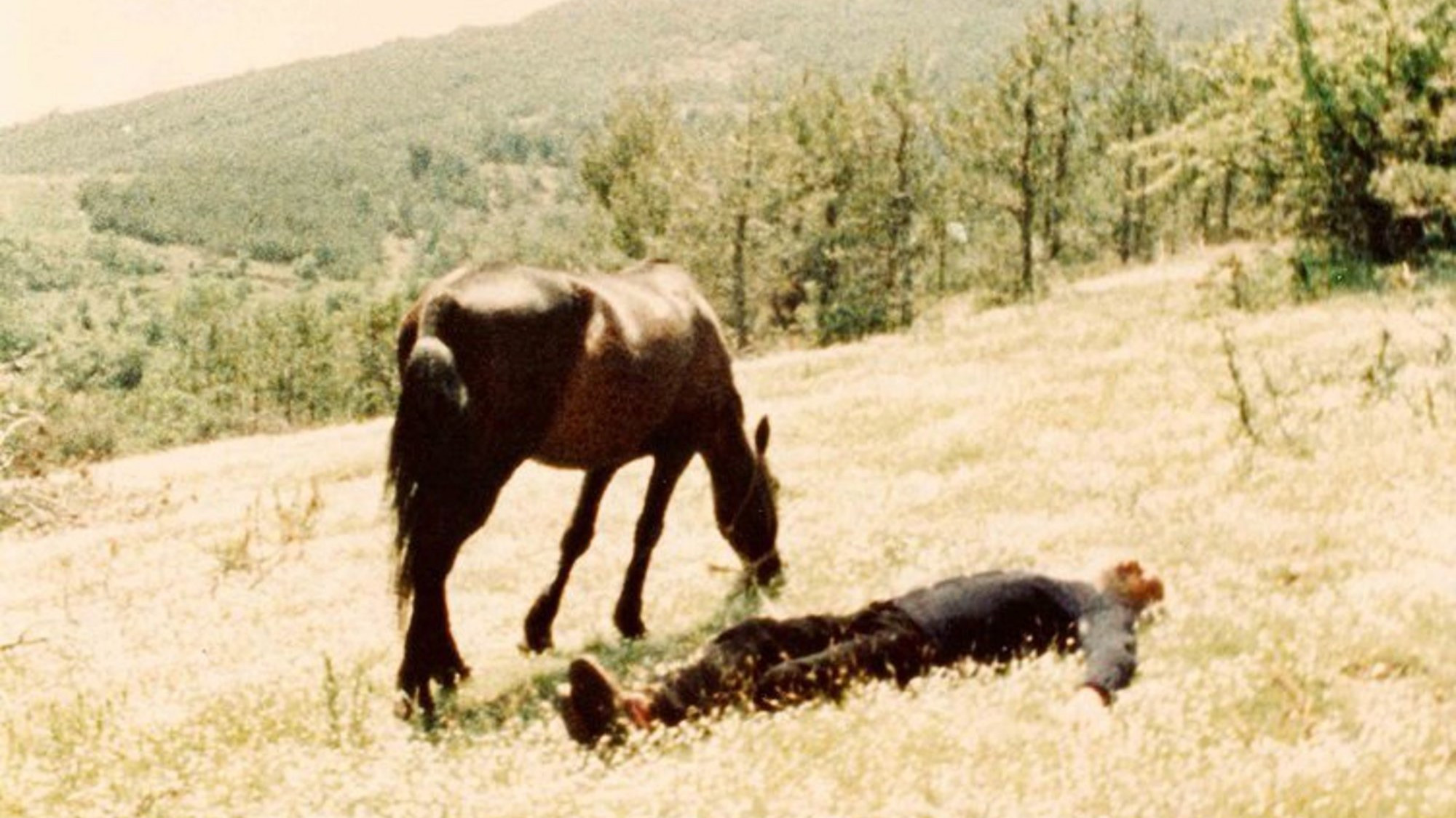 Backdrop for Balamos