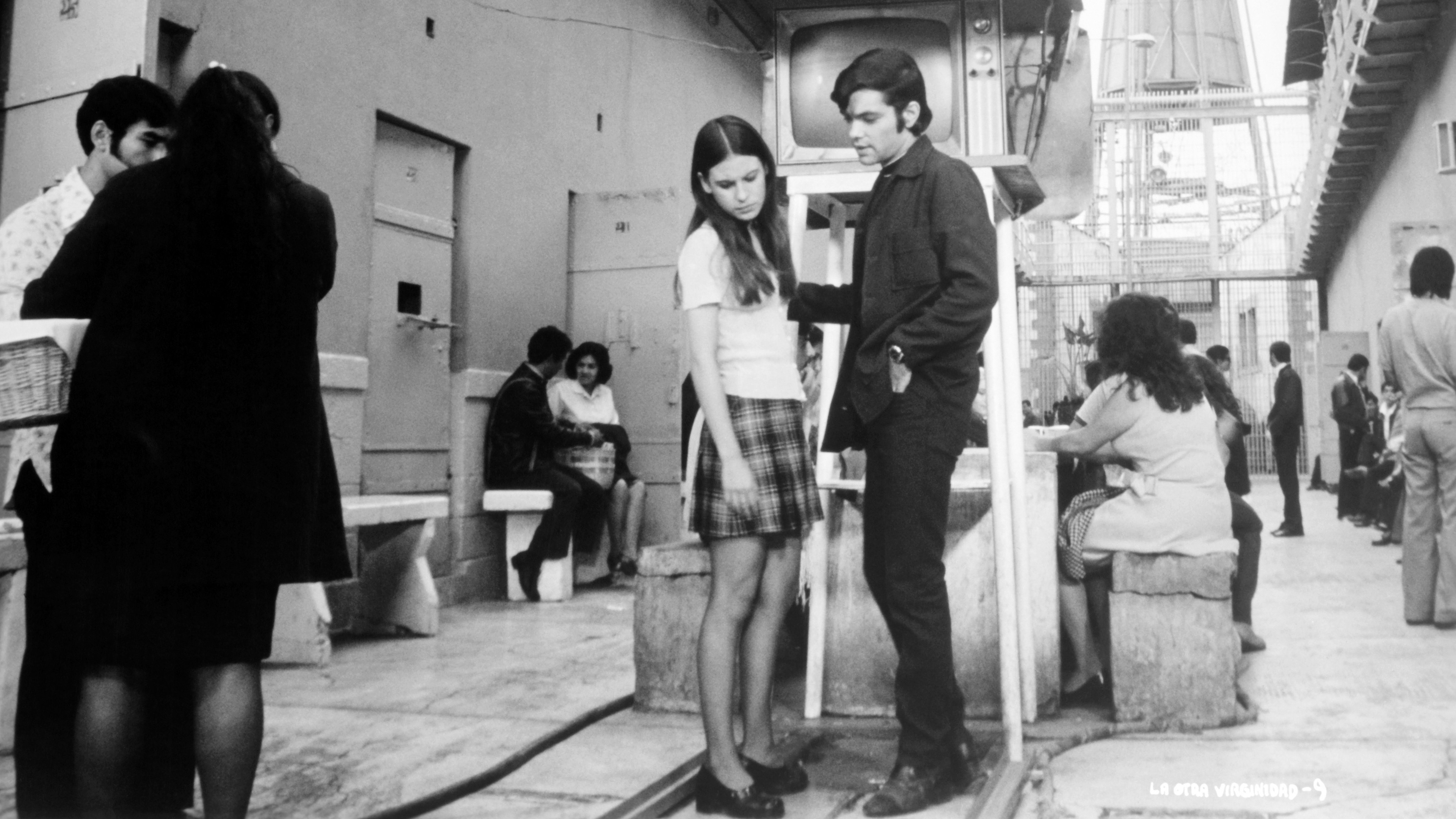 Backdrop for The Other Virginity