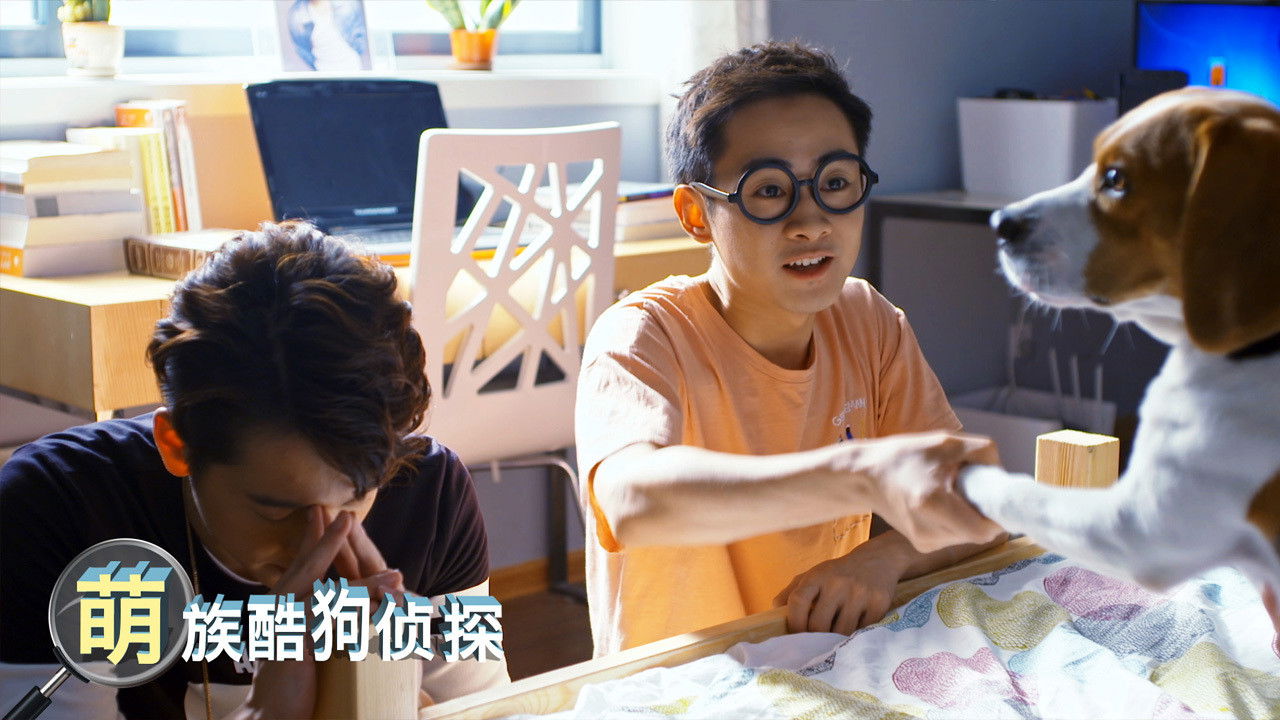 Backdrop for Cool Dog Detective