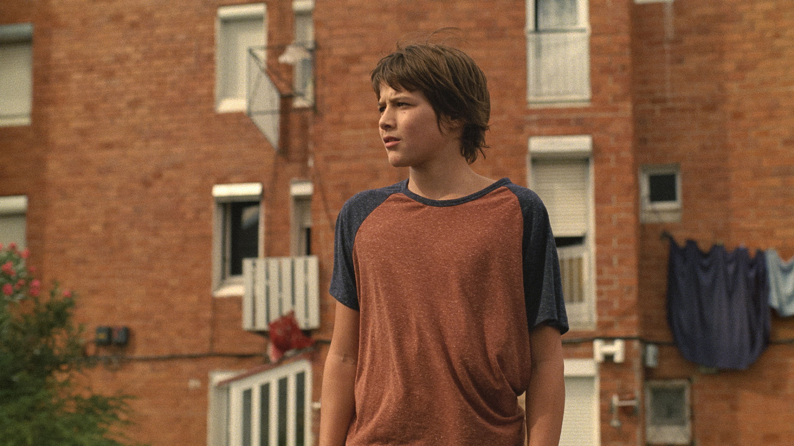 Backdrop for Mountain