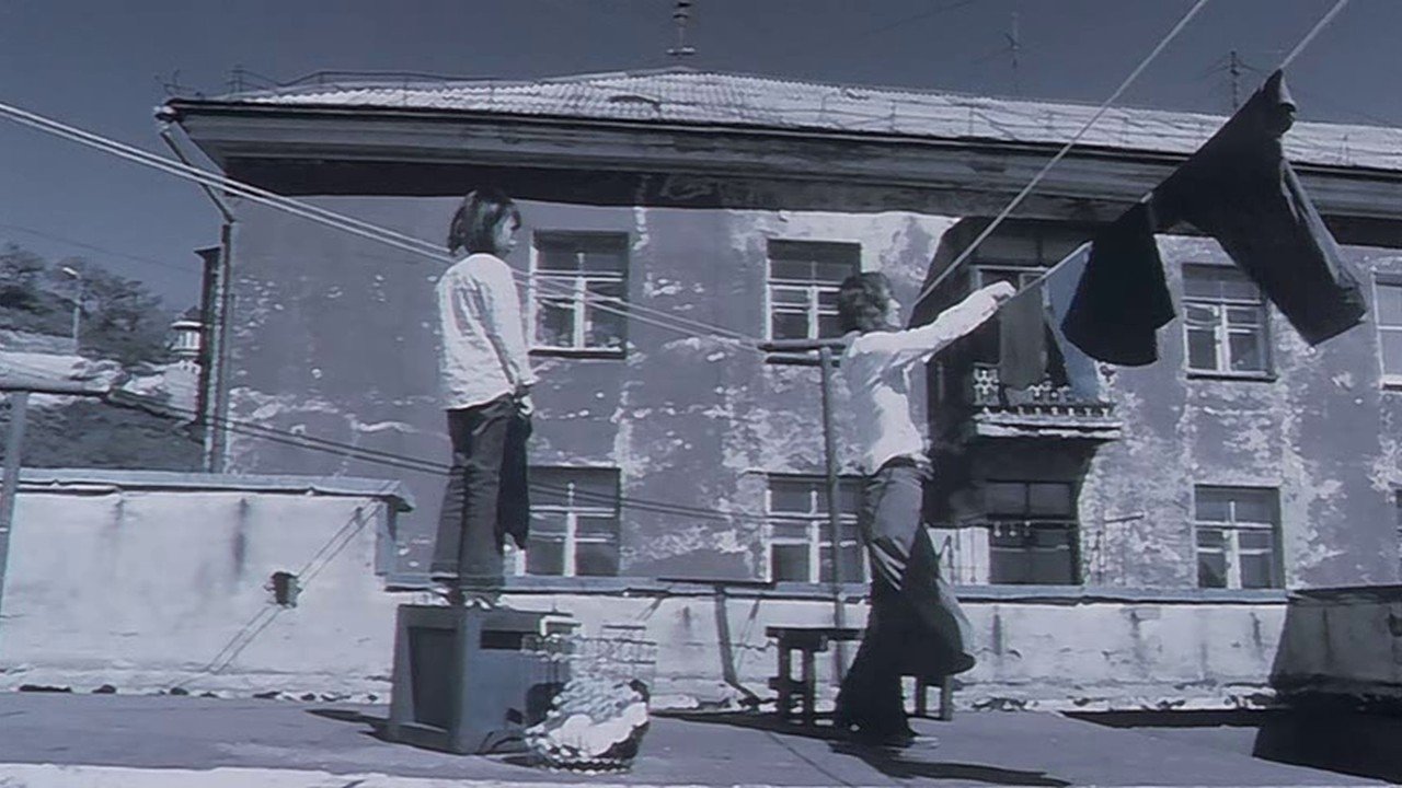 Backdrop for The Hotel Venus