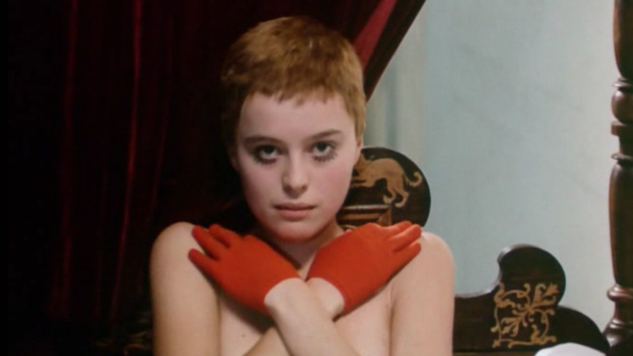 Backdrop for Birds, Orphans and Fools