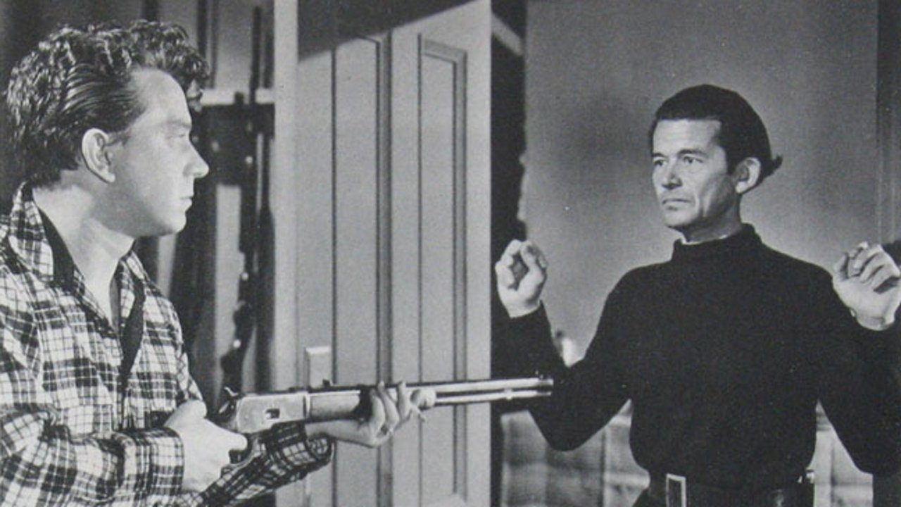 Backdrop for The Flying Saucer