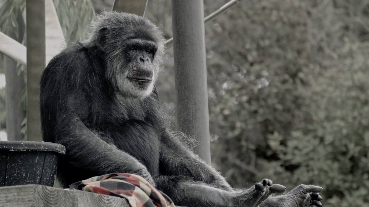 Backdrop for Cobby: The Other Side of Cute