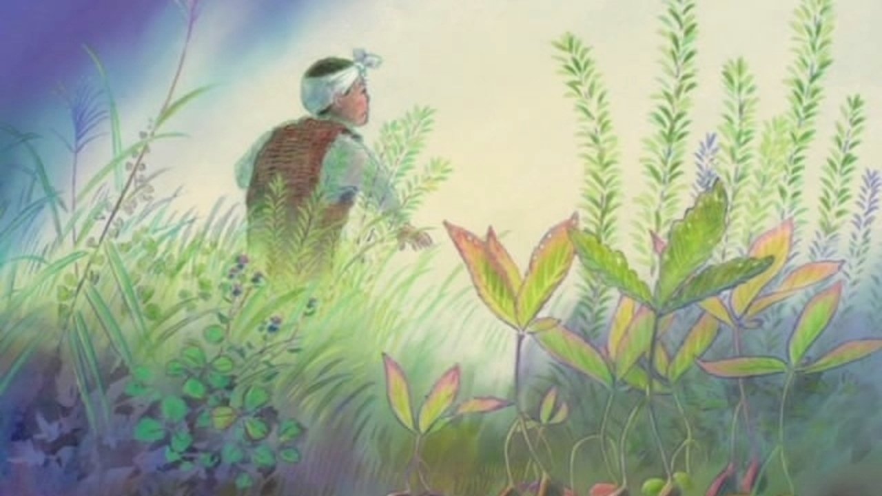 Backdrop for The Night of Taneyamagahara