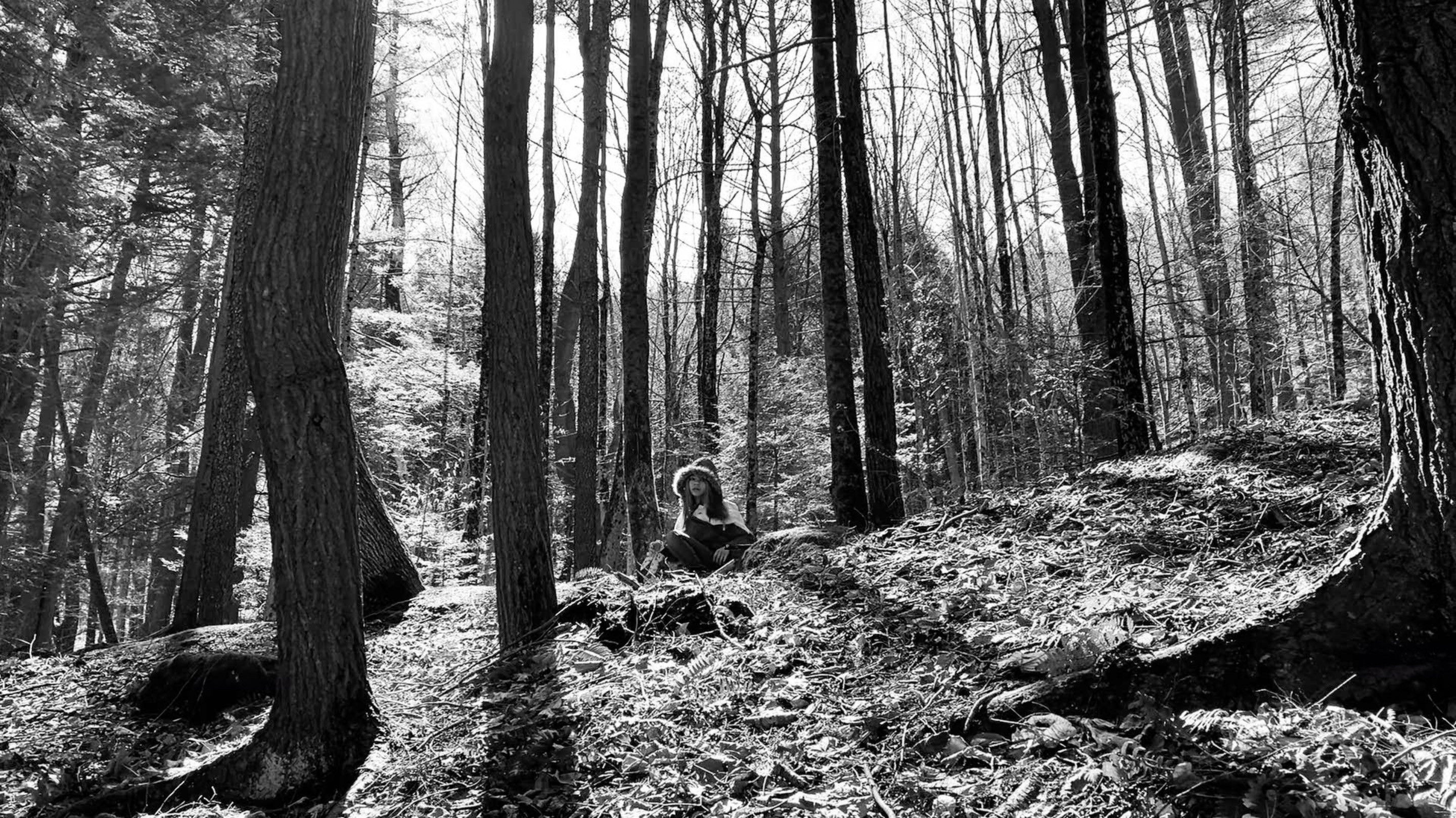 Backdrop for the creek