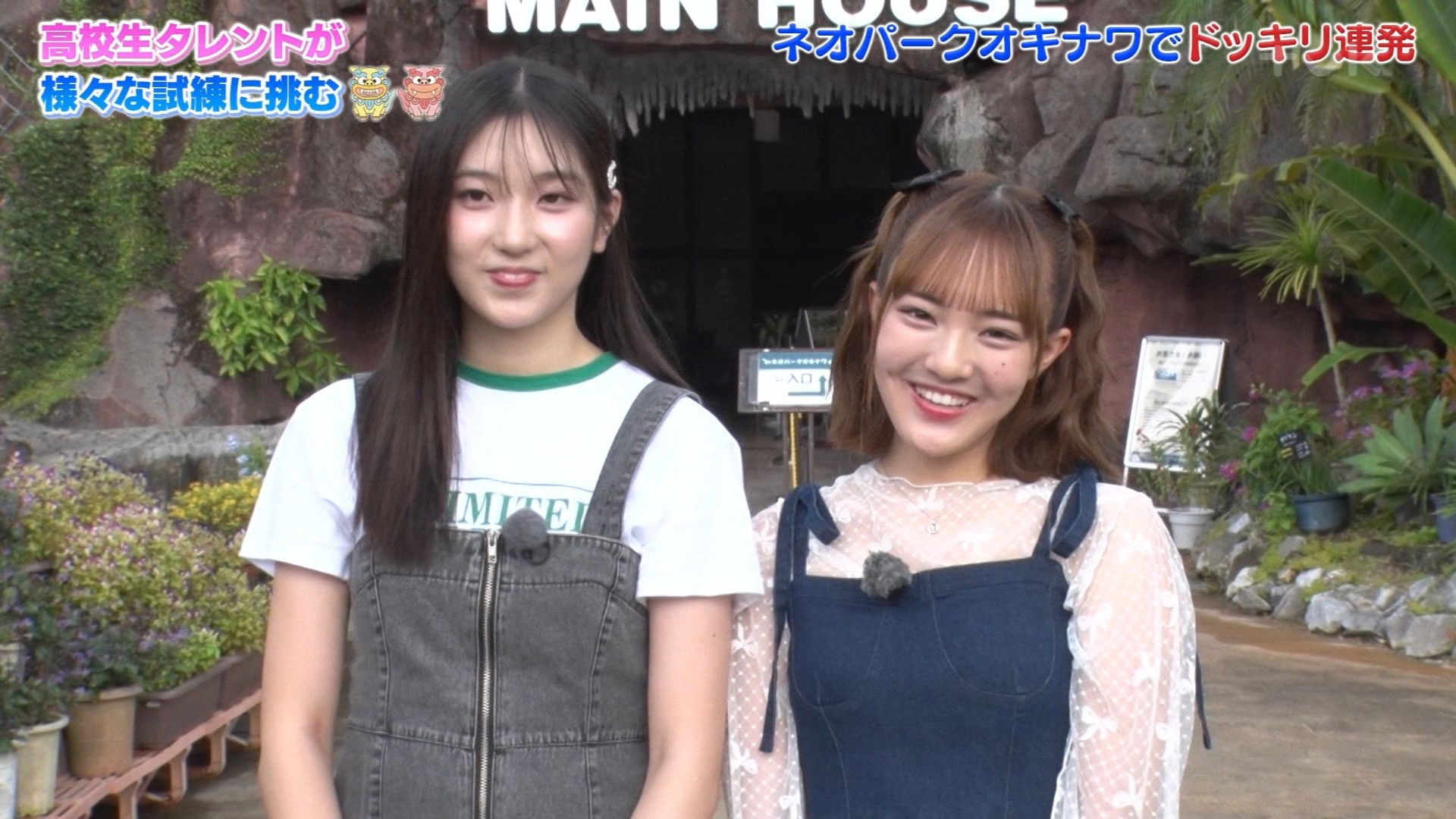 Backdrop for The First Step Journey