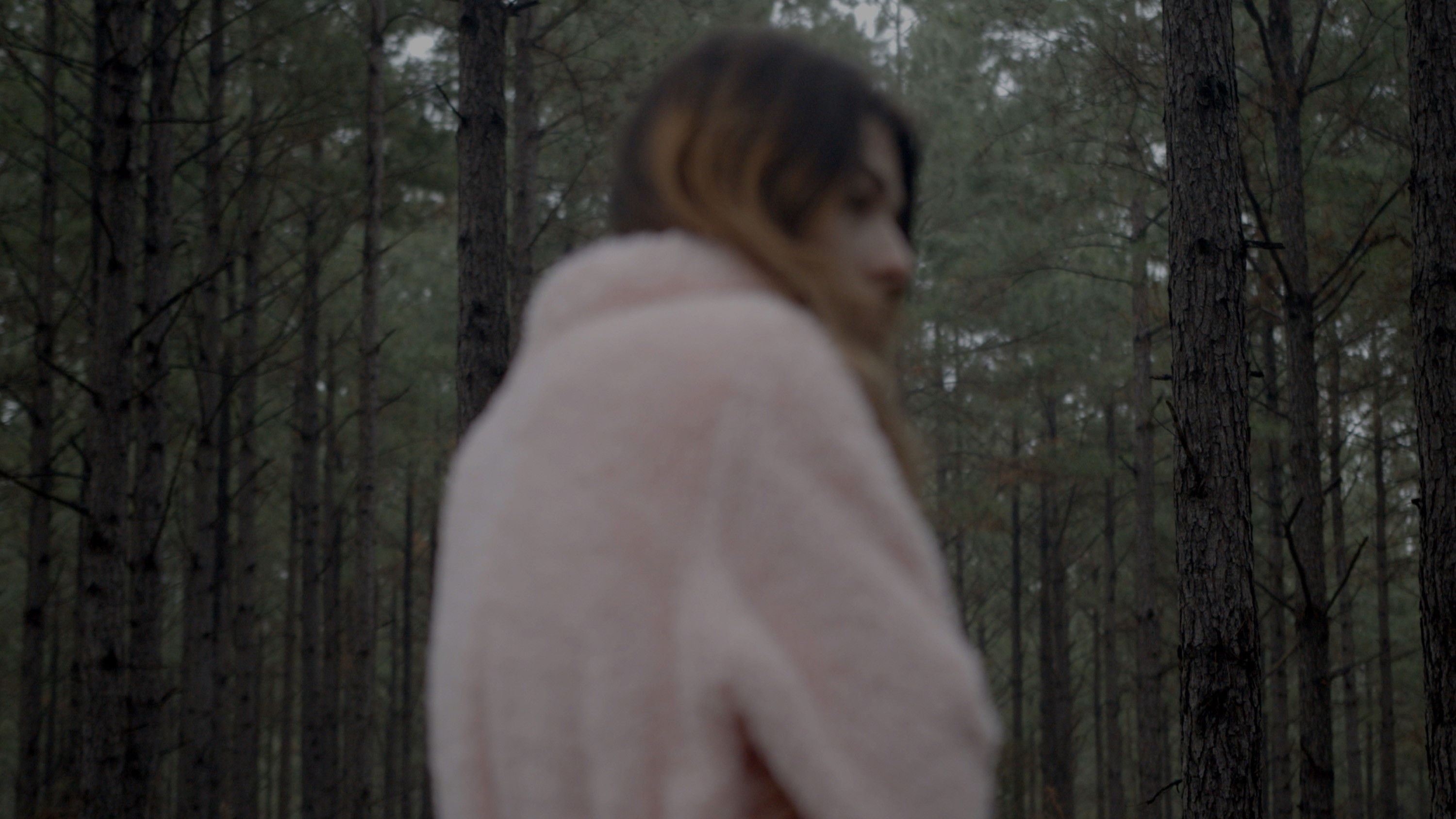 Backdrop for Abbygail was Here