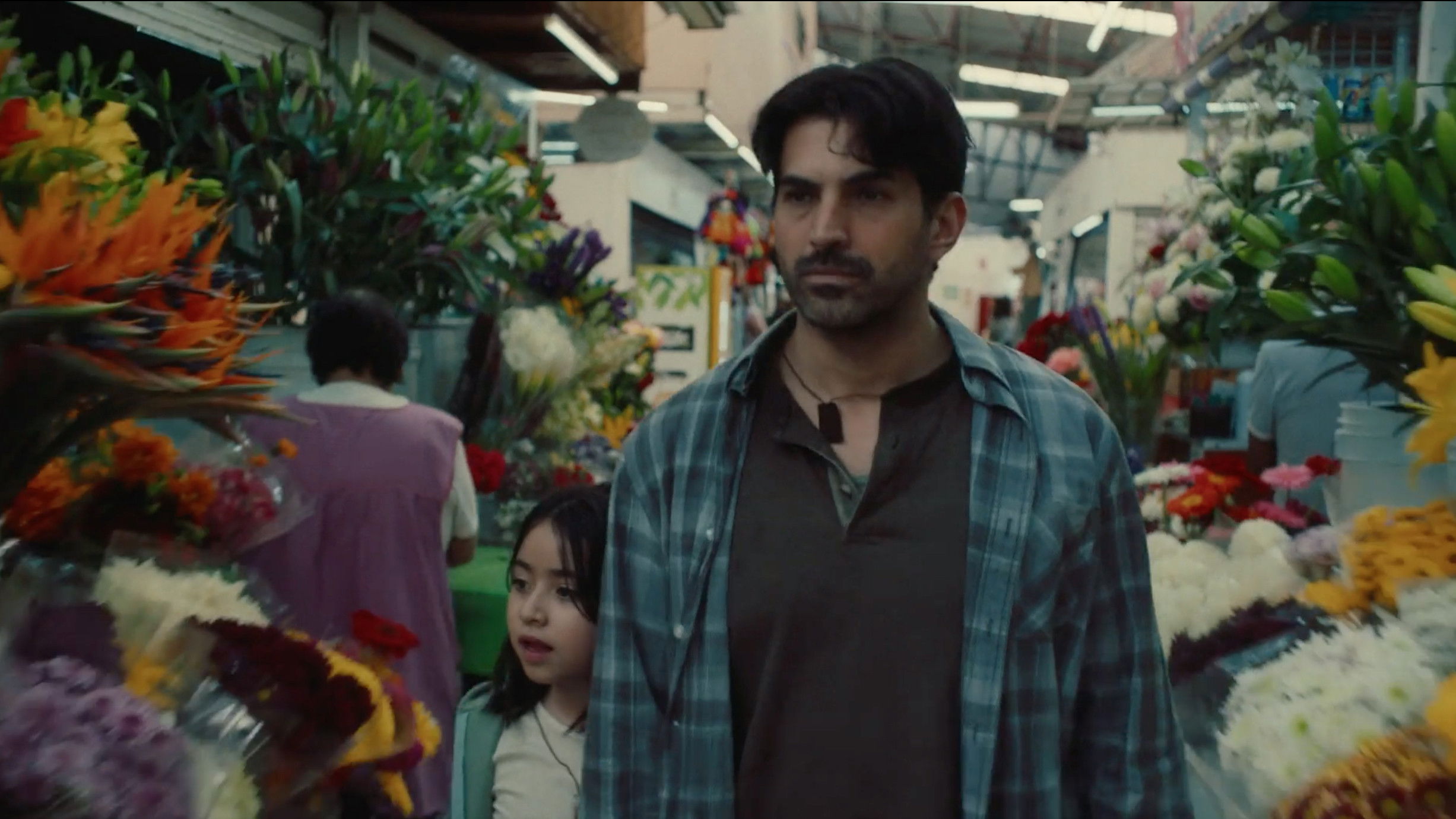 Backdrop for Los Veo