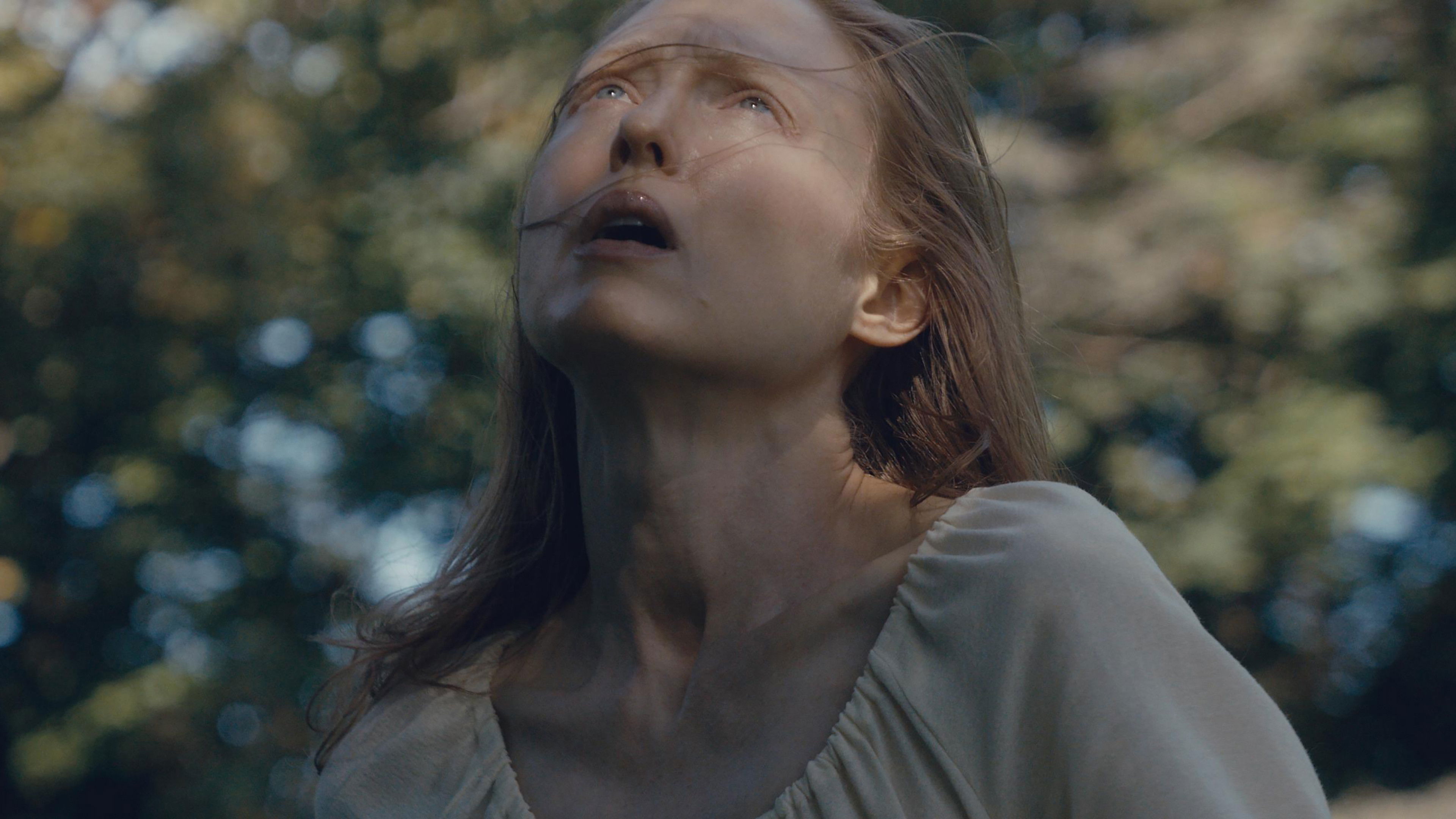 Backdrop for Blood Shine