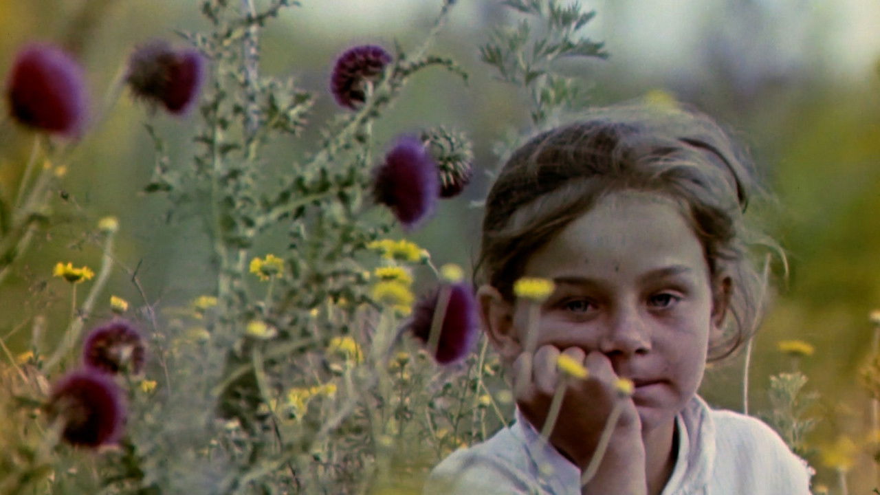 Backdrop for May Dandelion Snow