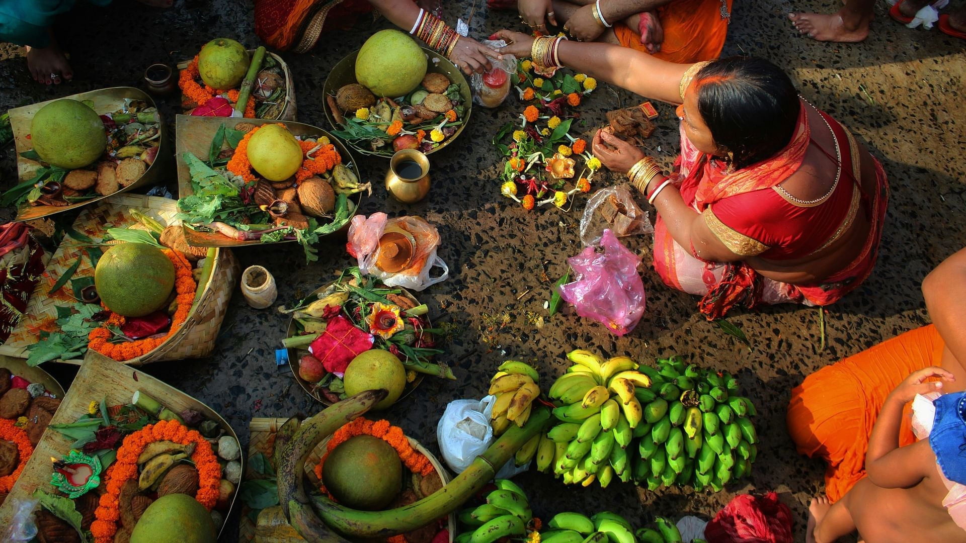 Backdrop for Vegetarians, The Great Odyssey