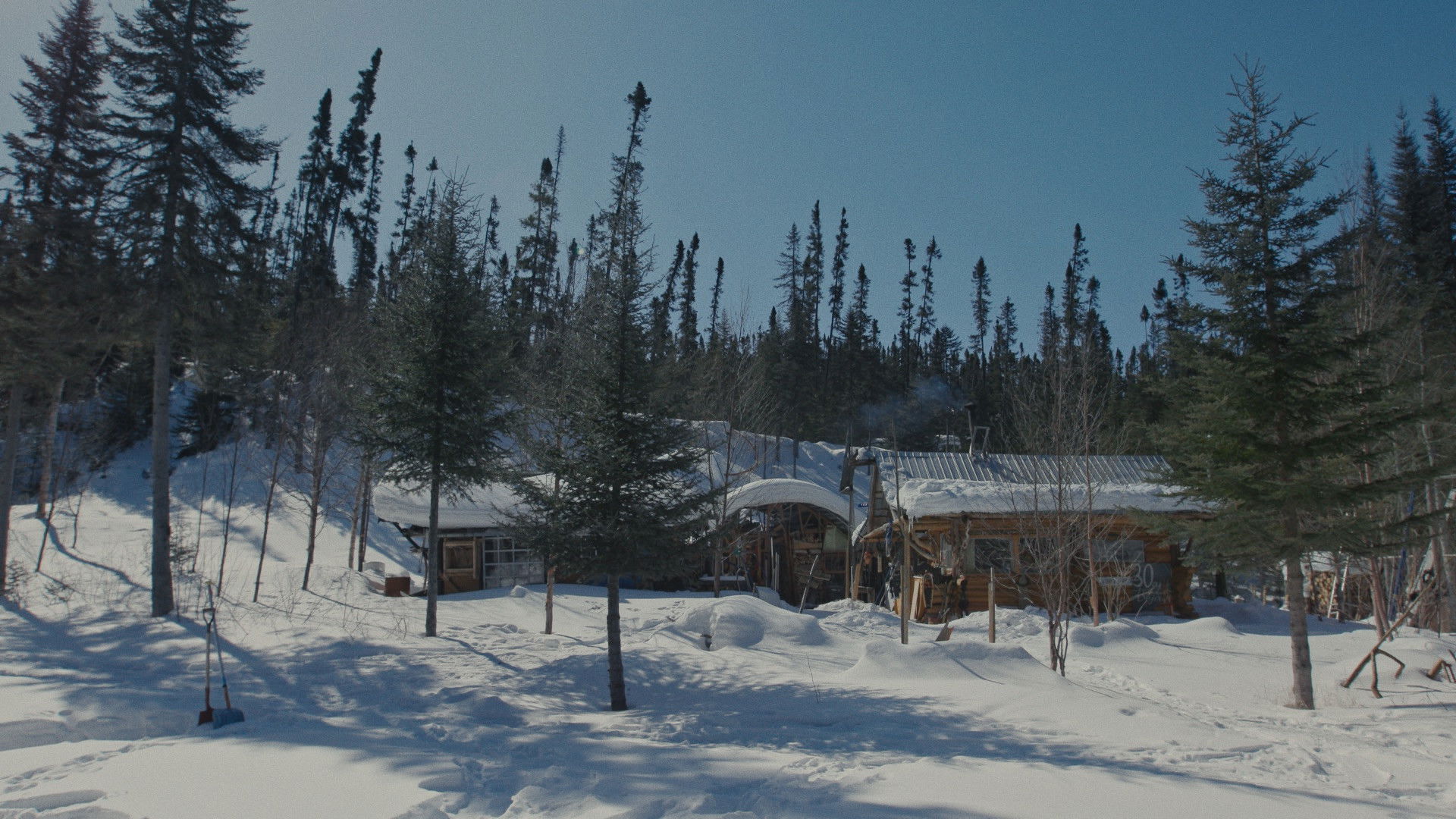 Backdrop for Jacques