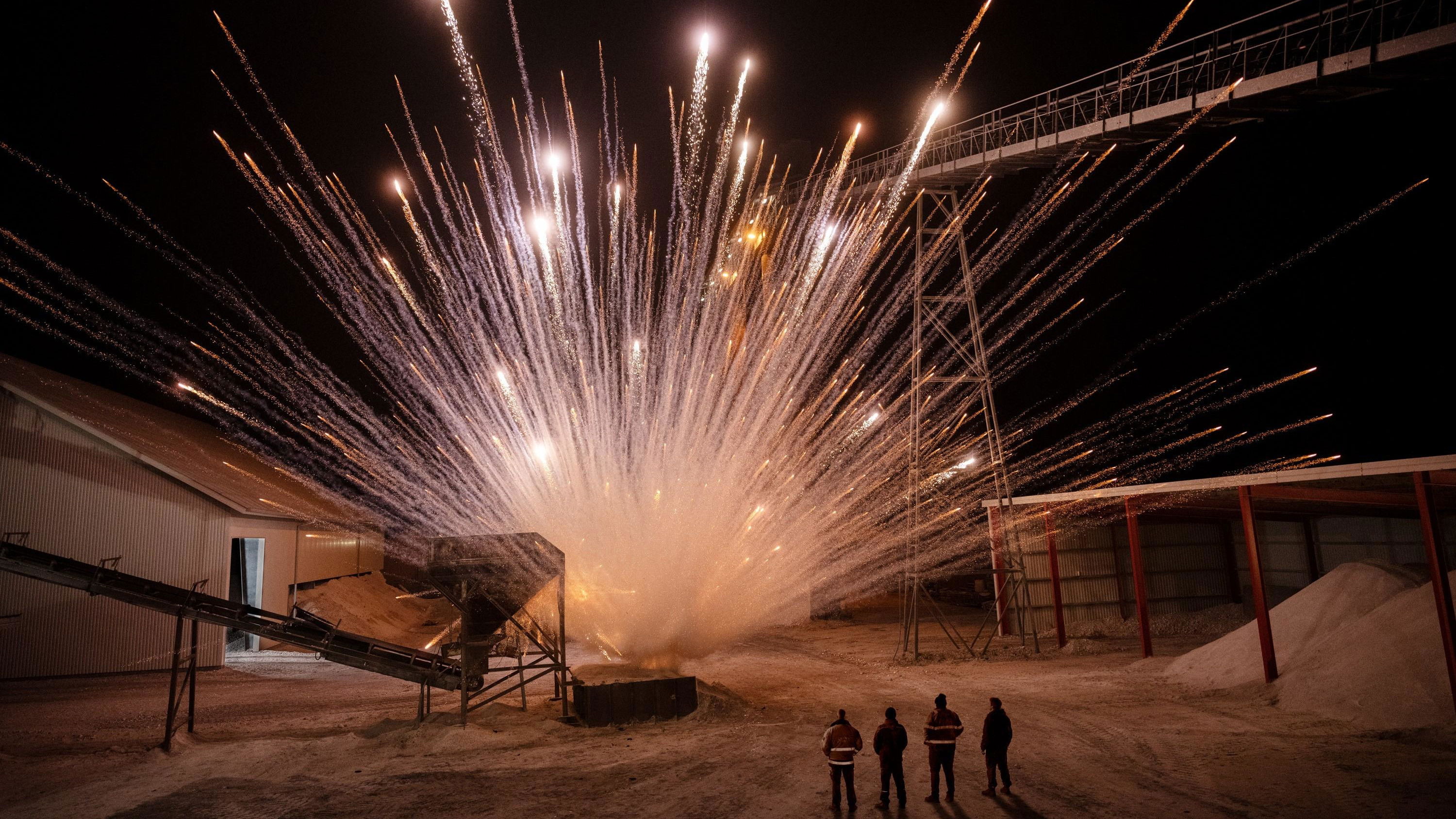 Backdrop for Chrysanthemum