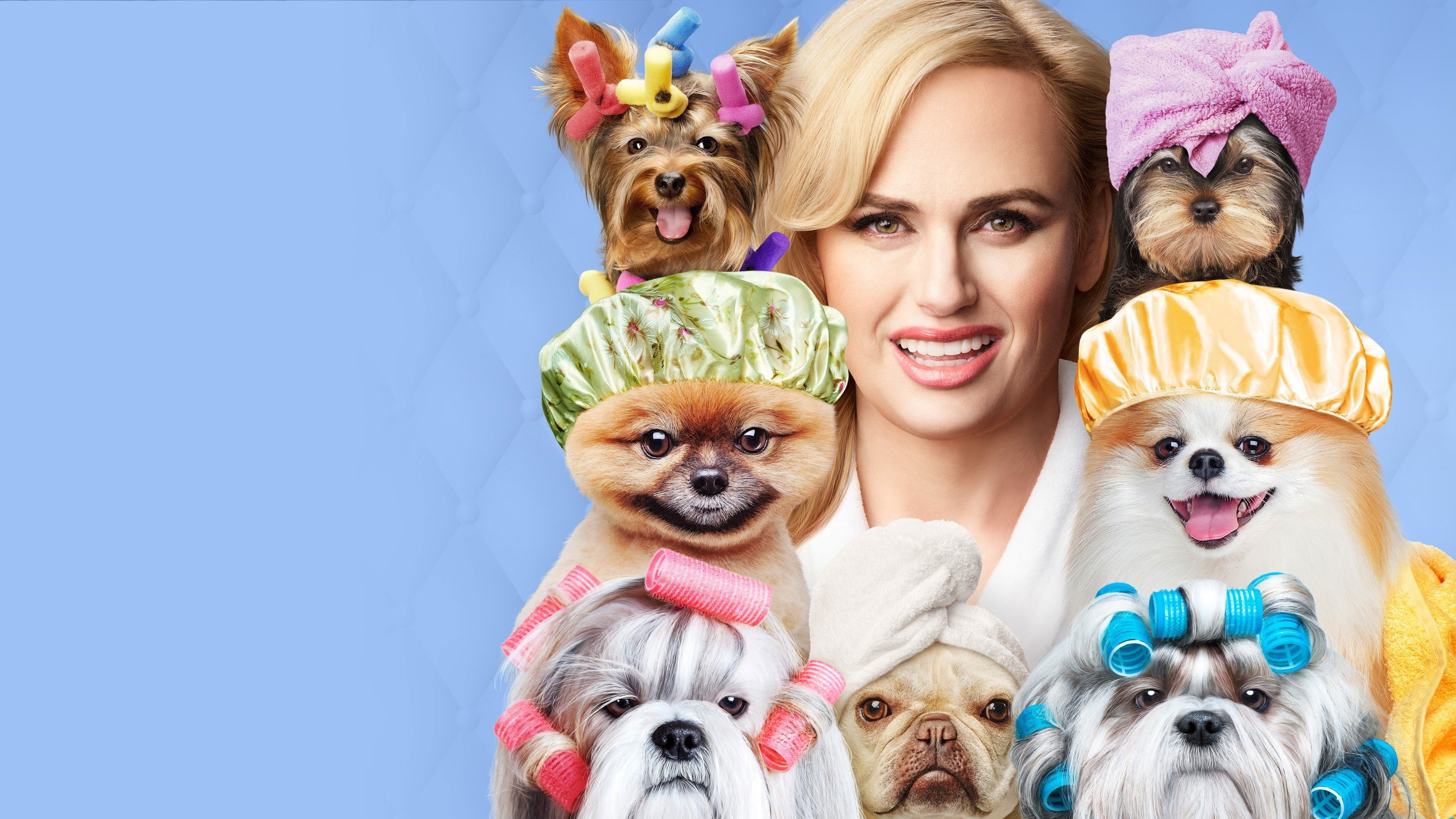 Backdrop for Pooch Perfect