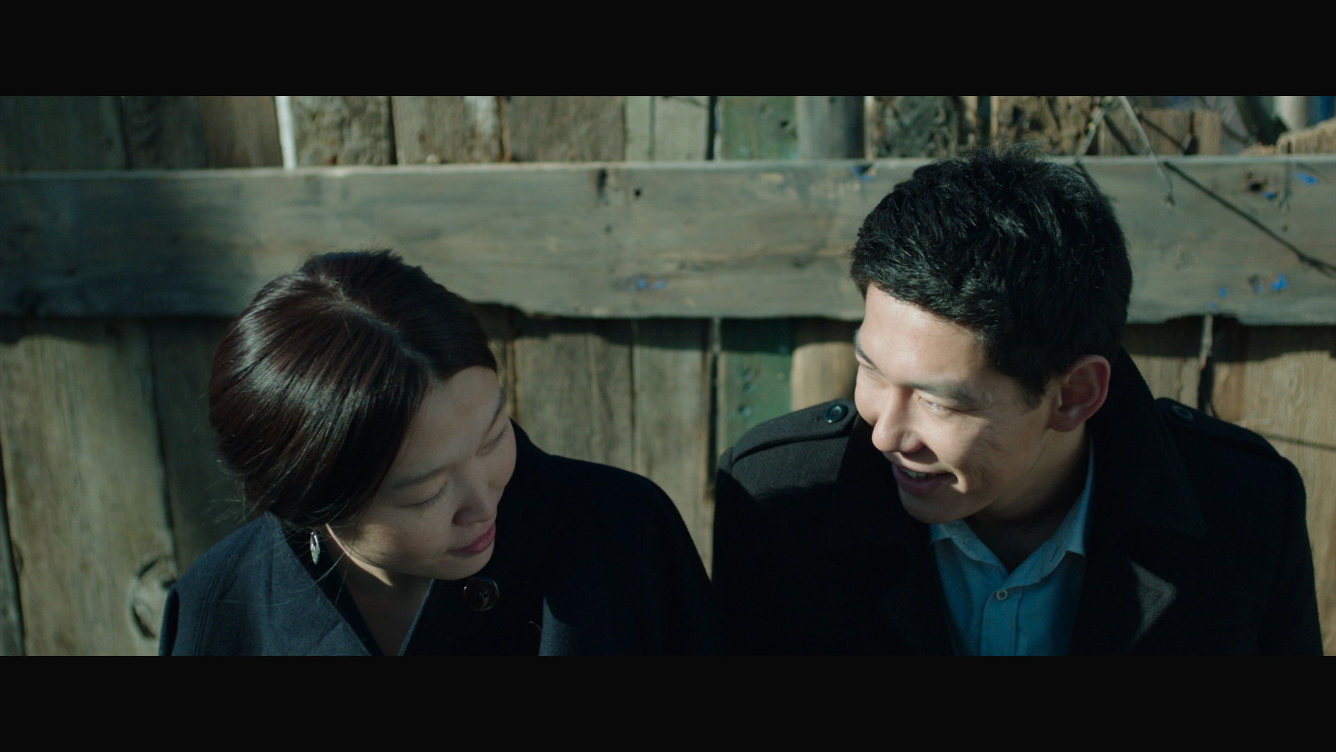 Backdrop for The Gulls