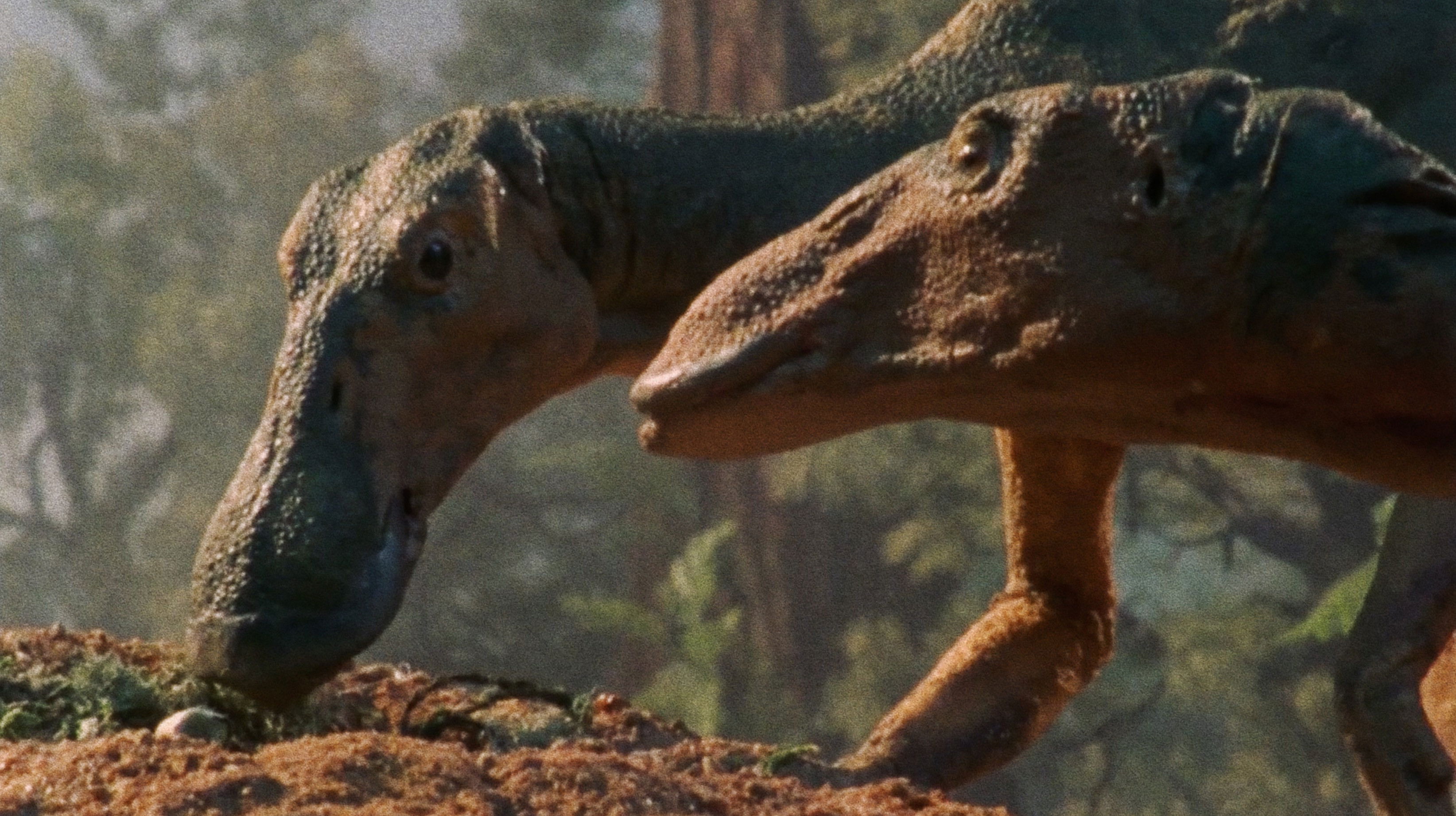 Backdrop for Dinosaur!