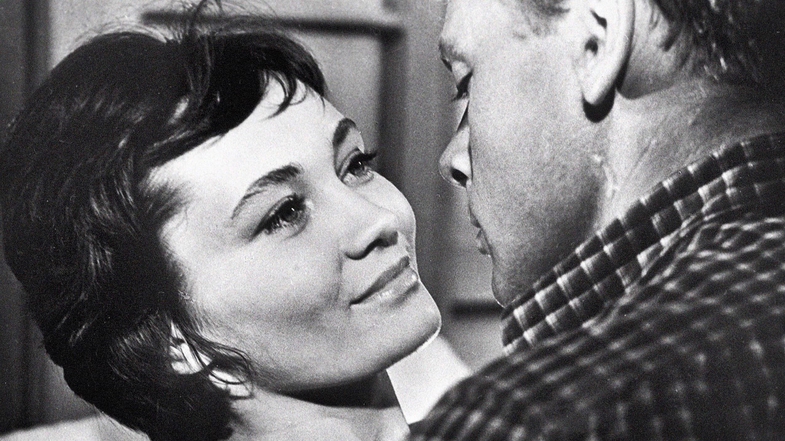 Backdrop for Silence