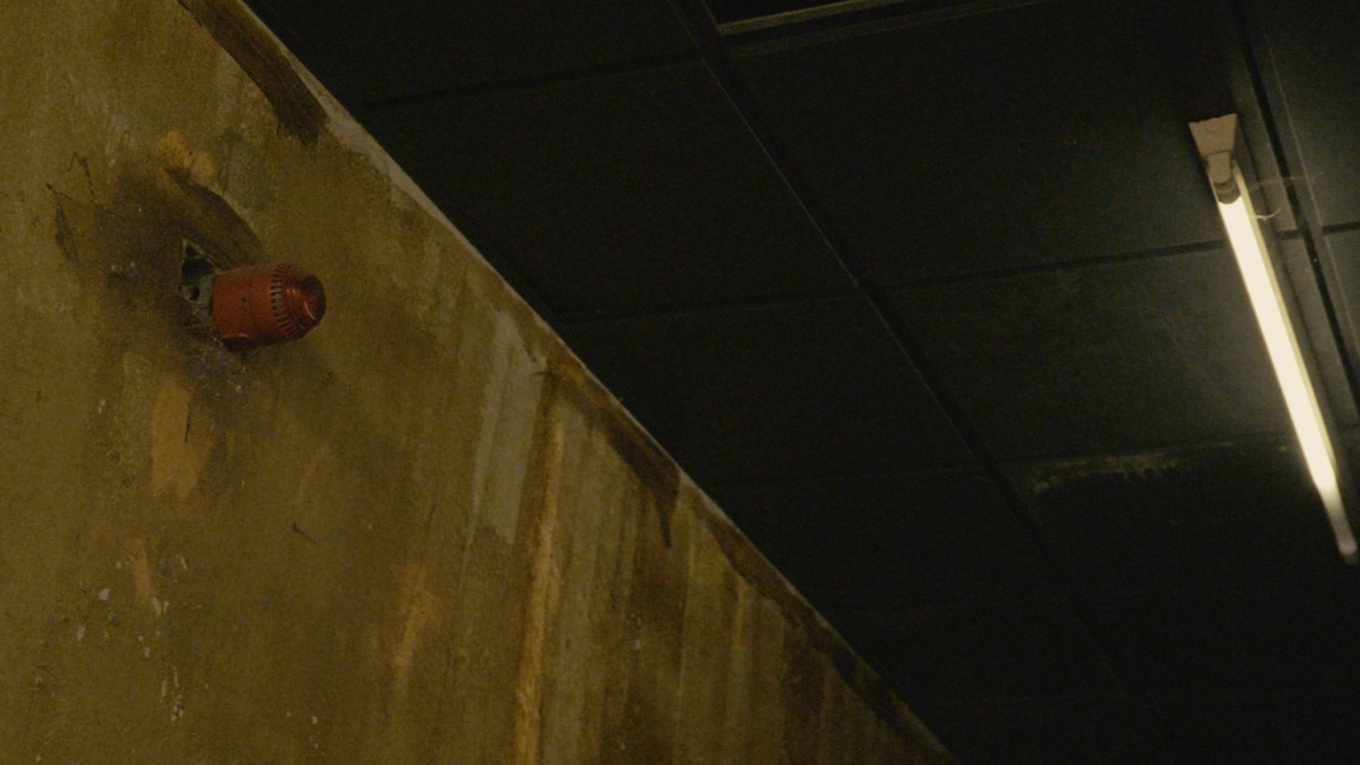 Backdrop for The Last Function