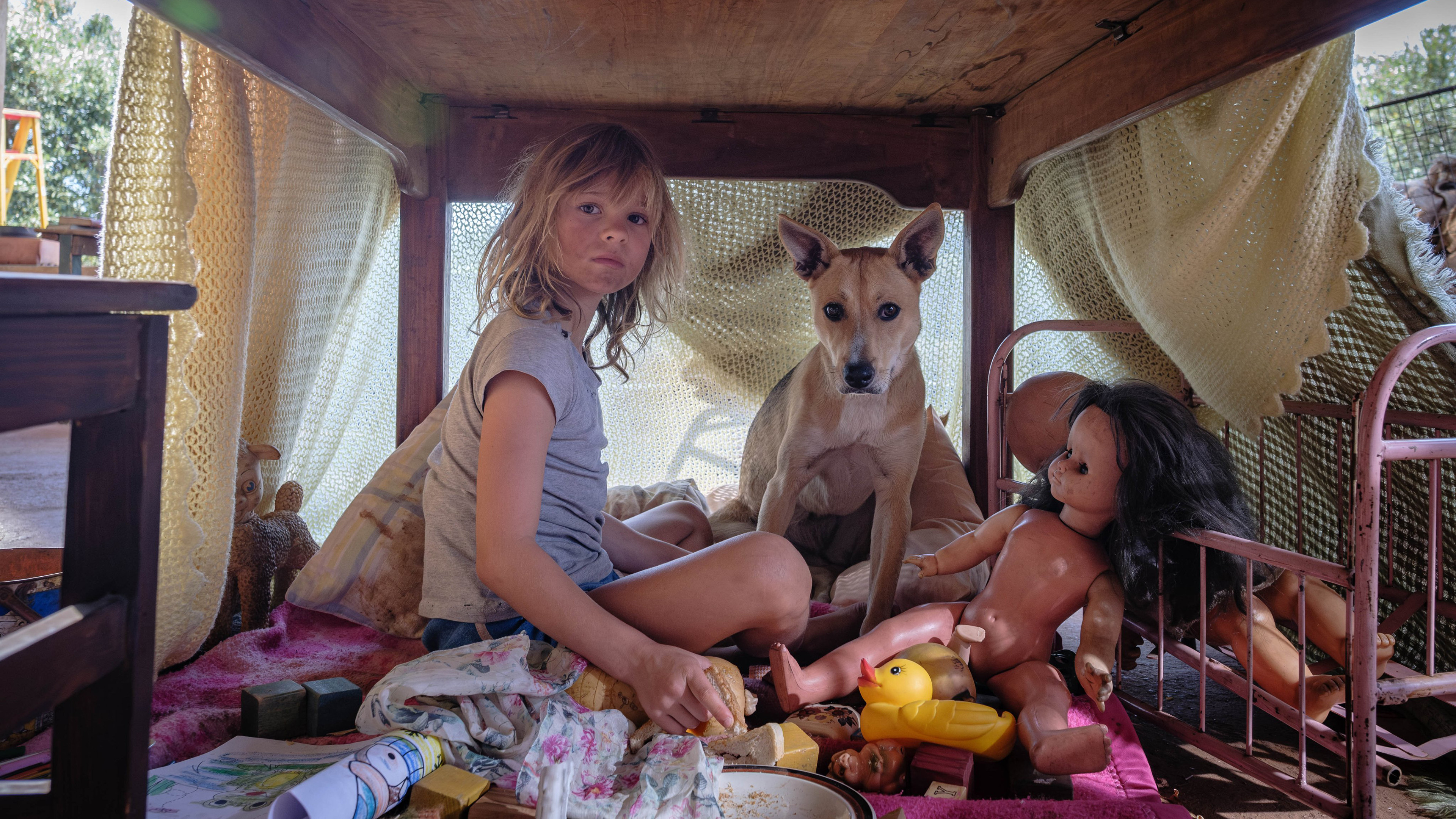 Backdrop for Don't Let's Go to the Dogs Tonight