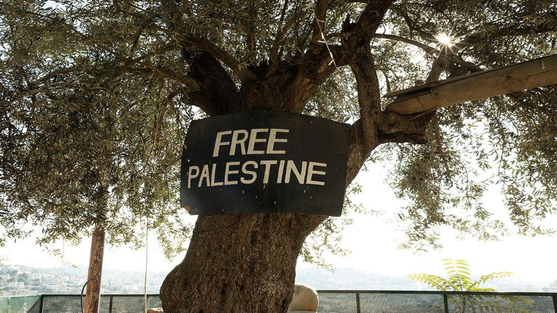 Backdrop for Roots of Resistance