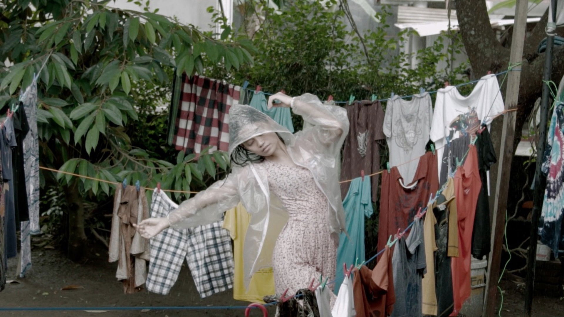 Backdrop for Dry Season in My House