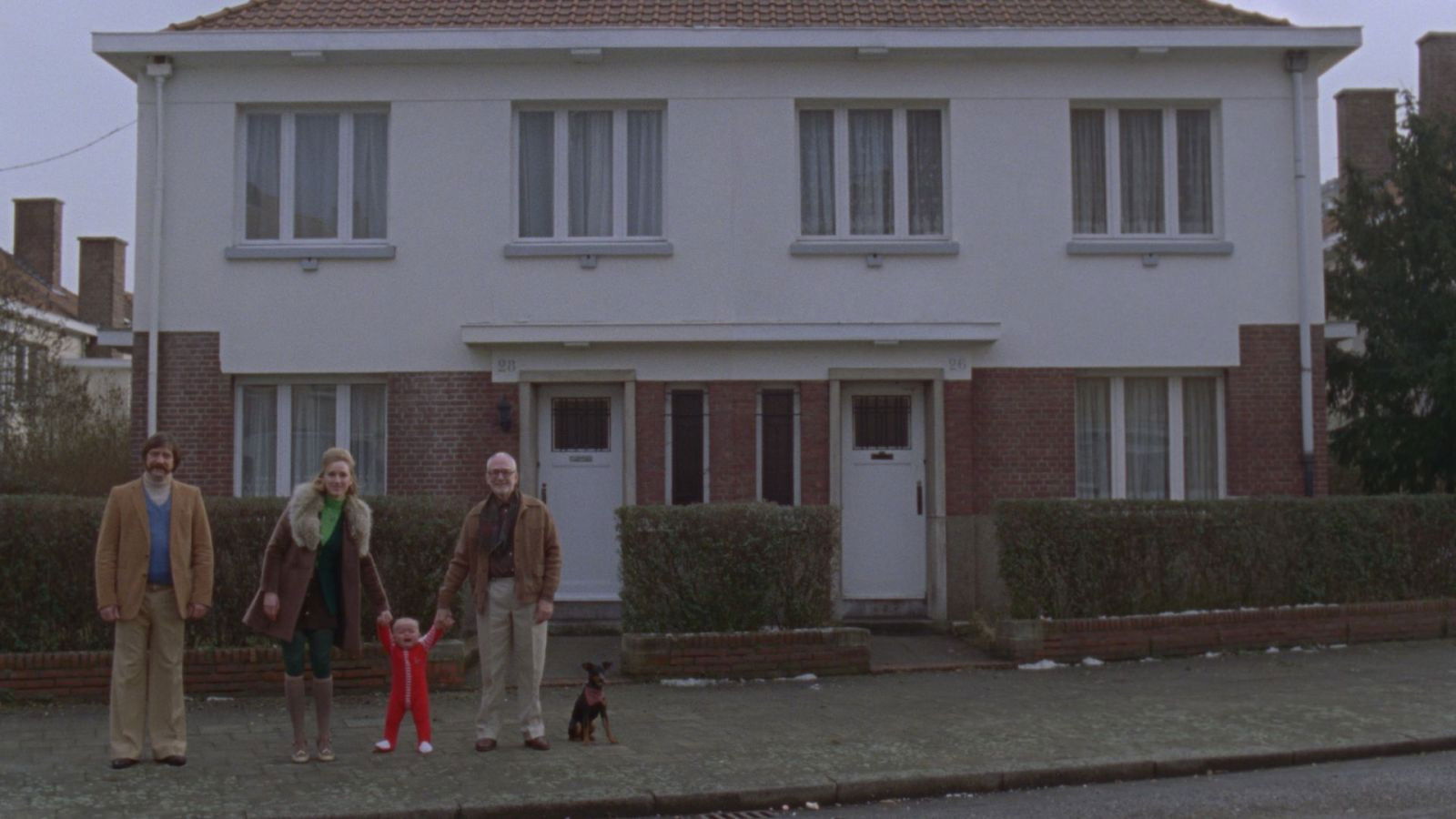 Backdrop for The Extraordinary Life of Rocky