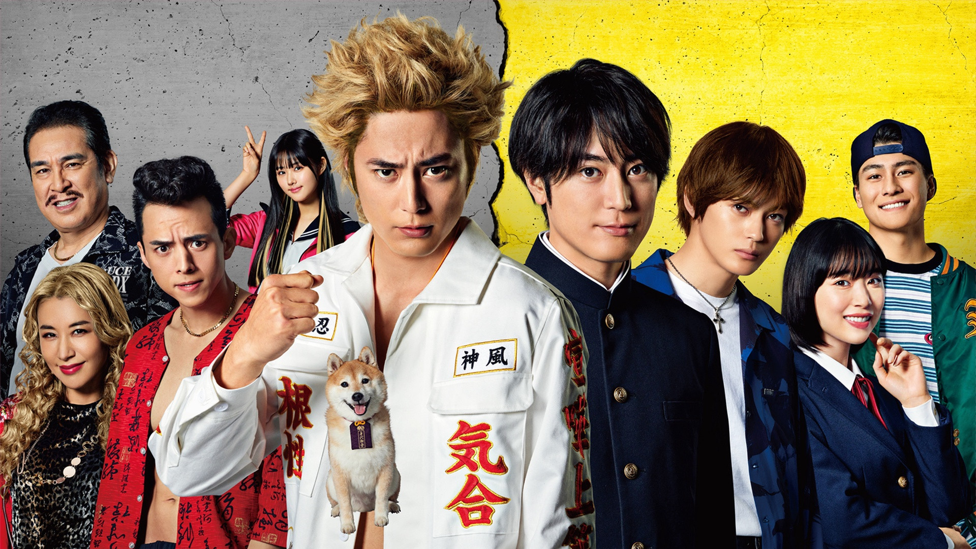 Backdrop for Nanba MG5