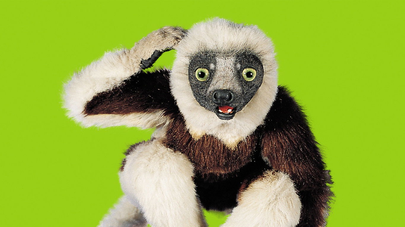 Backdrop for Zoboomafoo