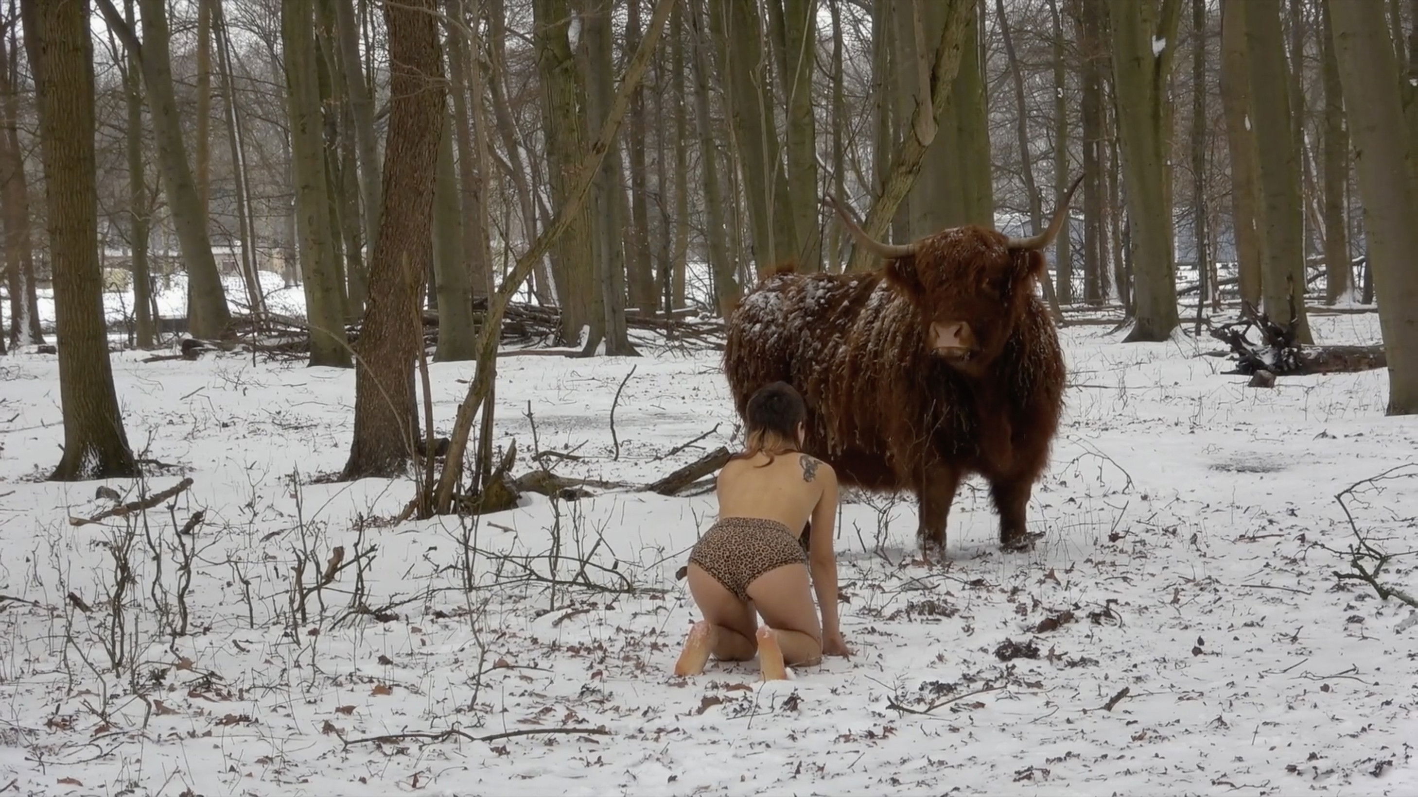 Backdrop for Missing Link