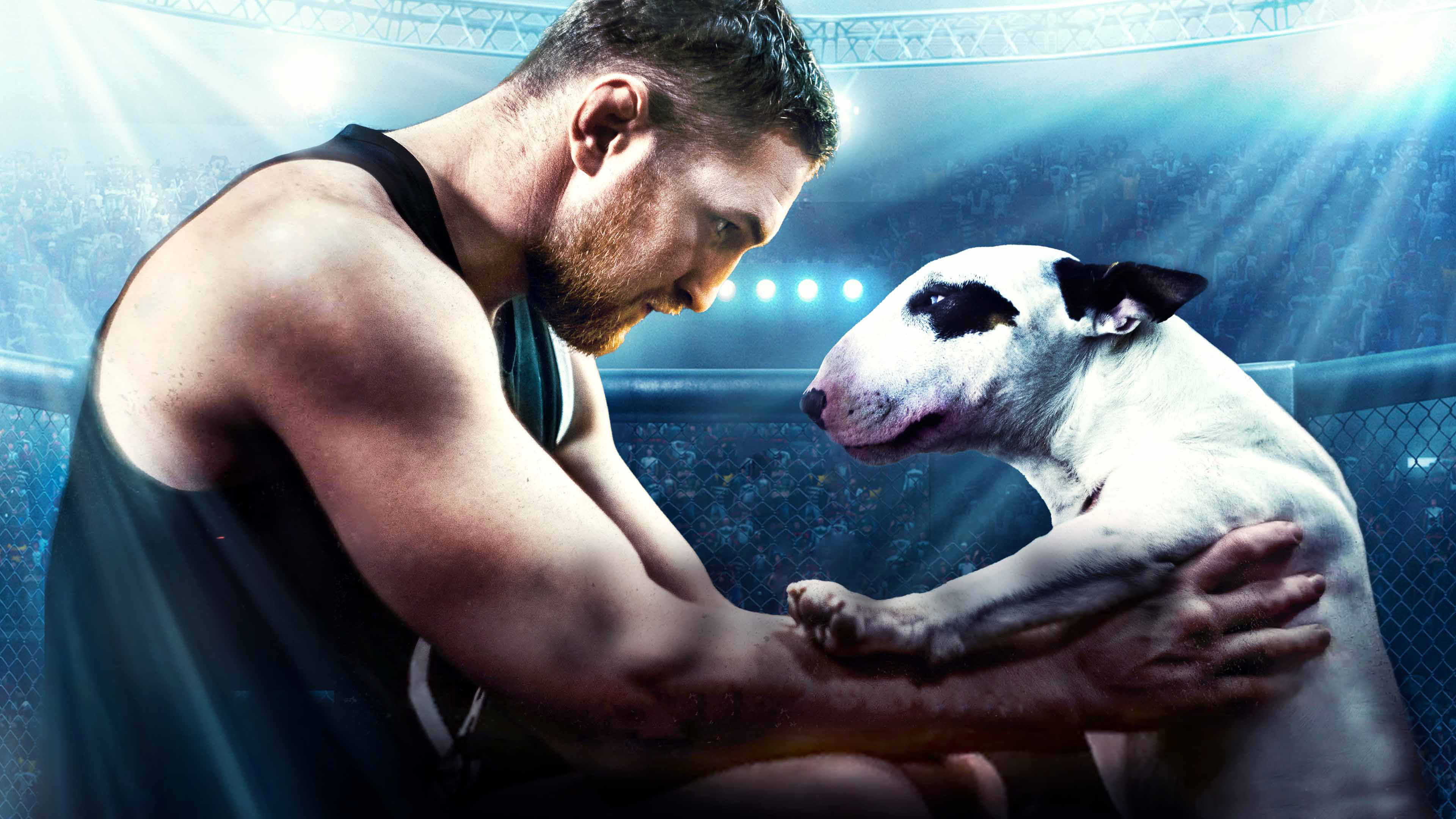 Backdrop for Bullterrier