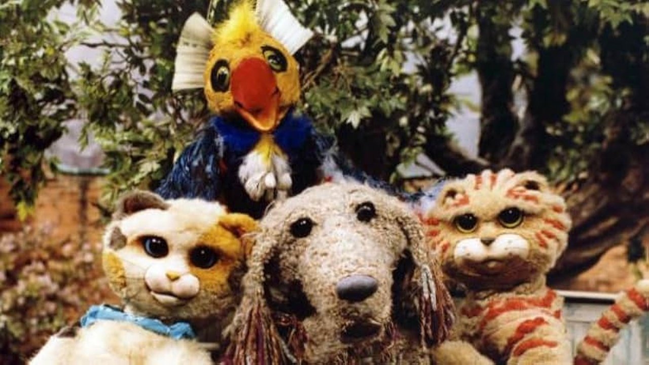 Backdrop for Kitty Cats