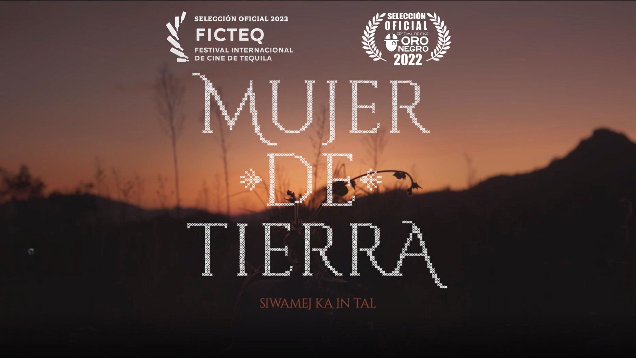 Backdrop for Mujer de Tierra