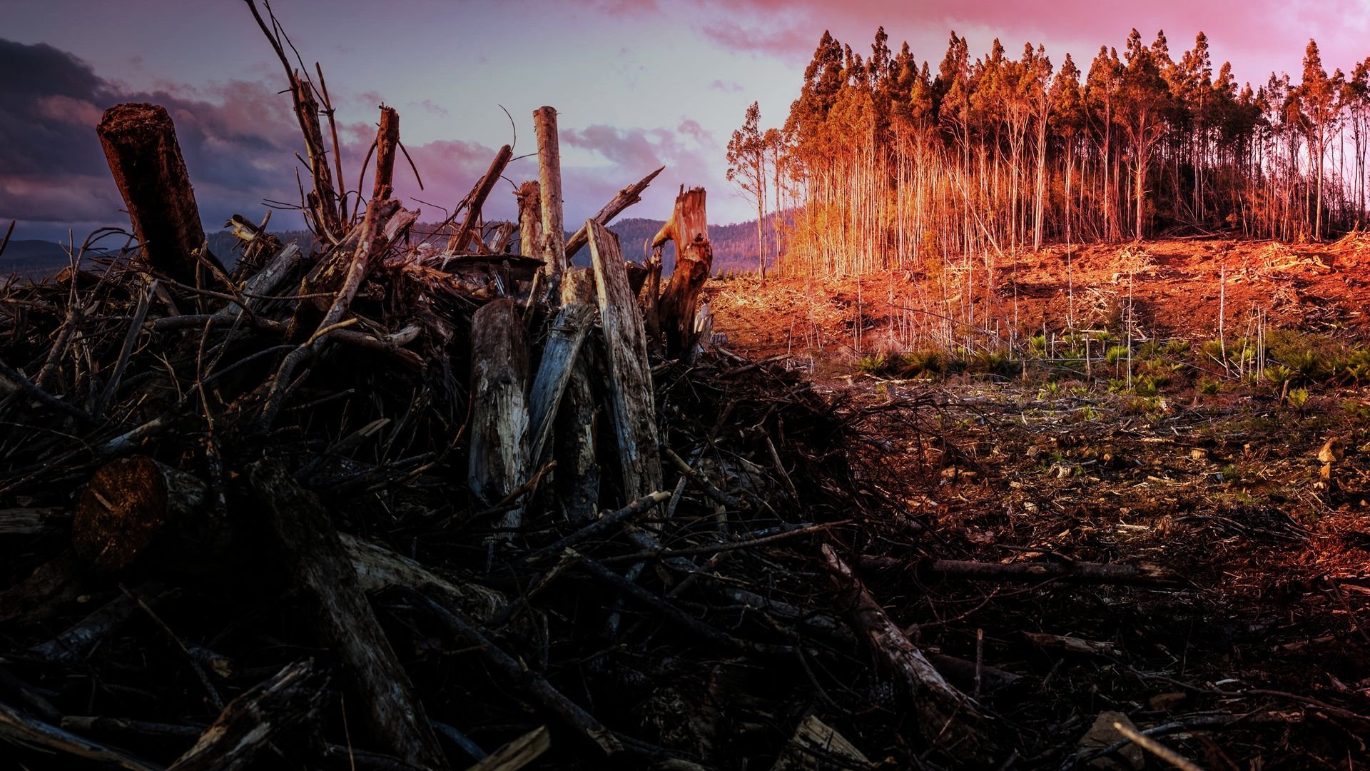 Backdrop for Atlas of a Changing Earth