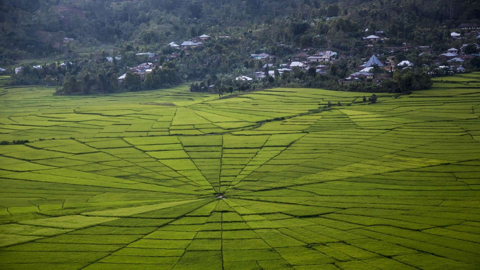 Backdrop for Le Soliloque des muets