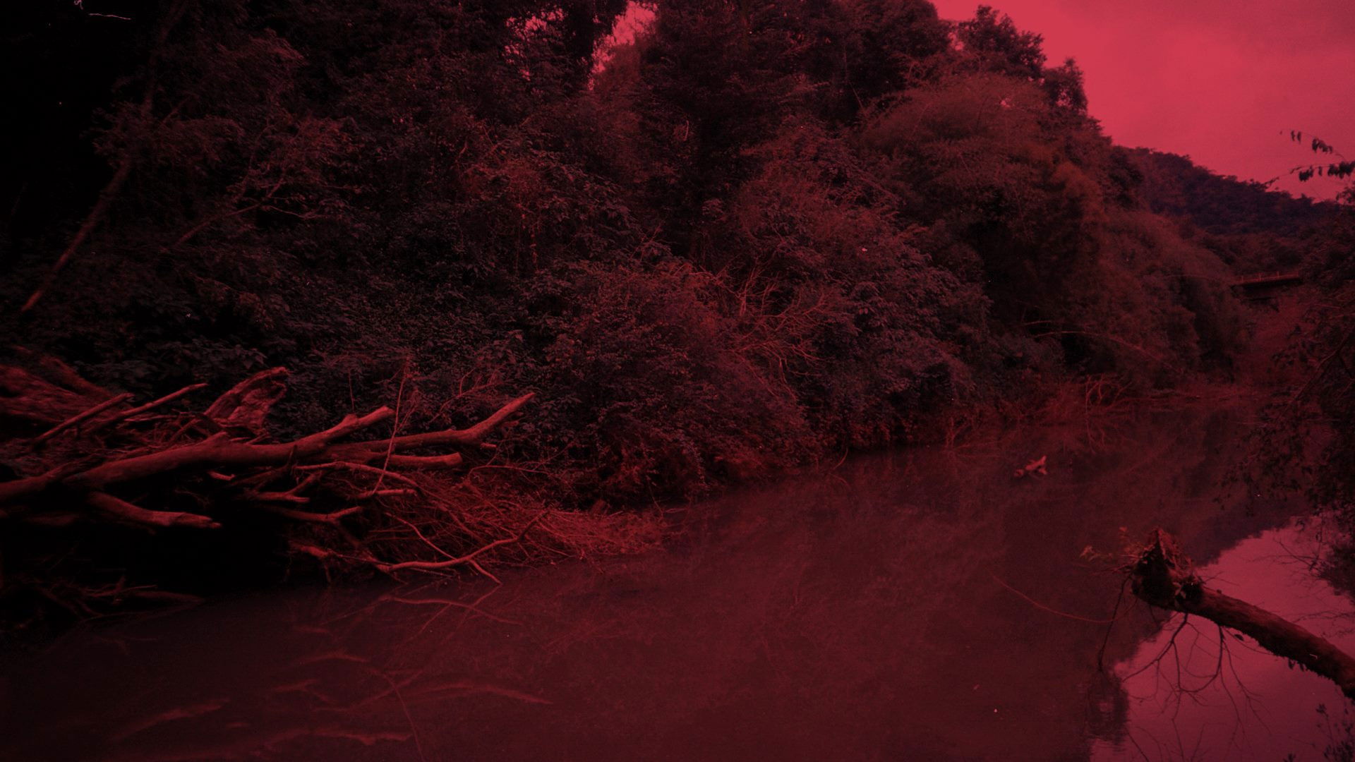 Backdrop for Teko Haxy - ser imperfeita