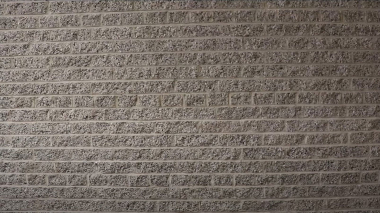 Backdrop for B A C K R O O M S