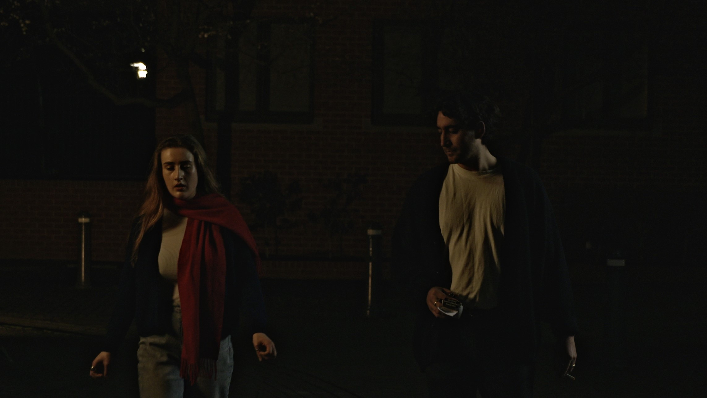 Backdrop for Infirmus