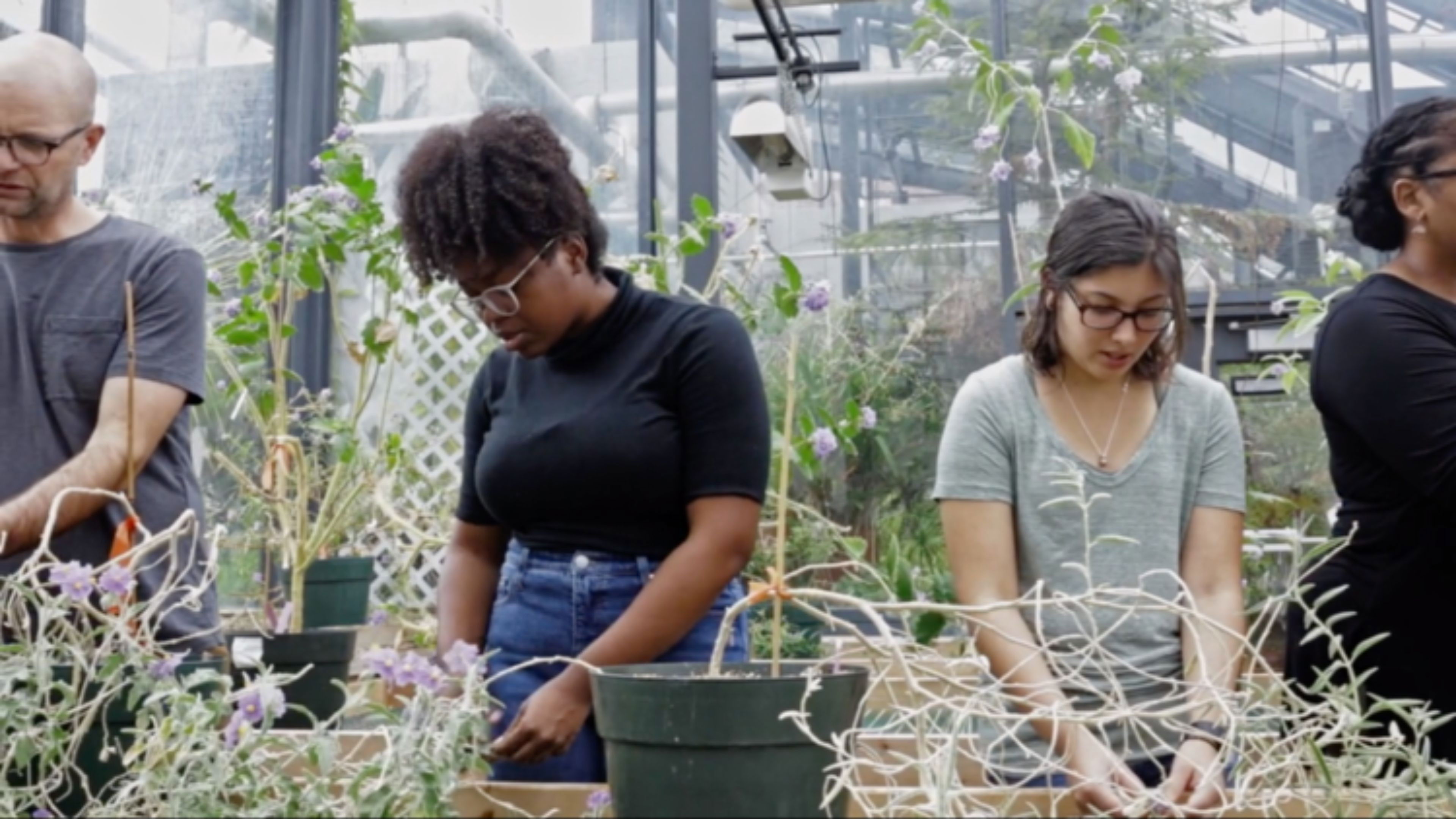 Backdrop for There are things in this world that are yet to be named