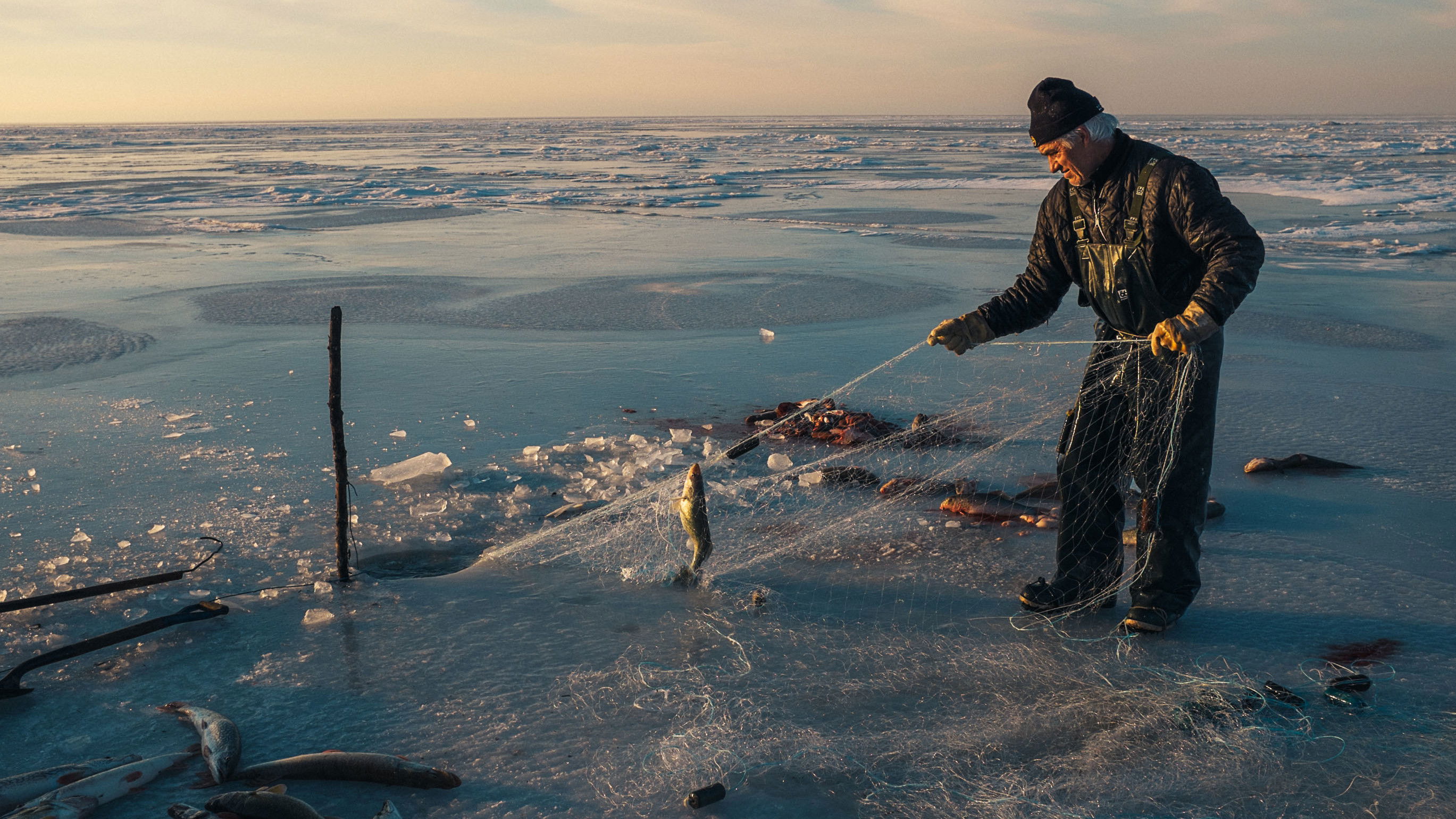 Backdrop for Au pays des Mitchifs