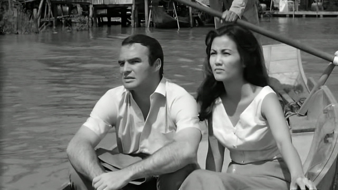 Backdrop for Operation C.I.A.