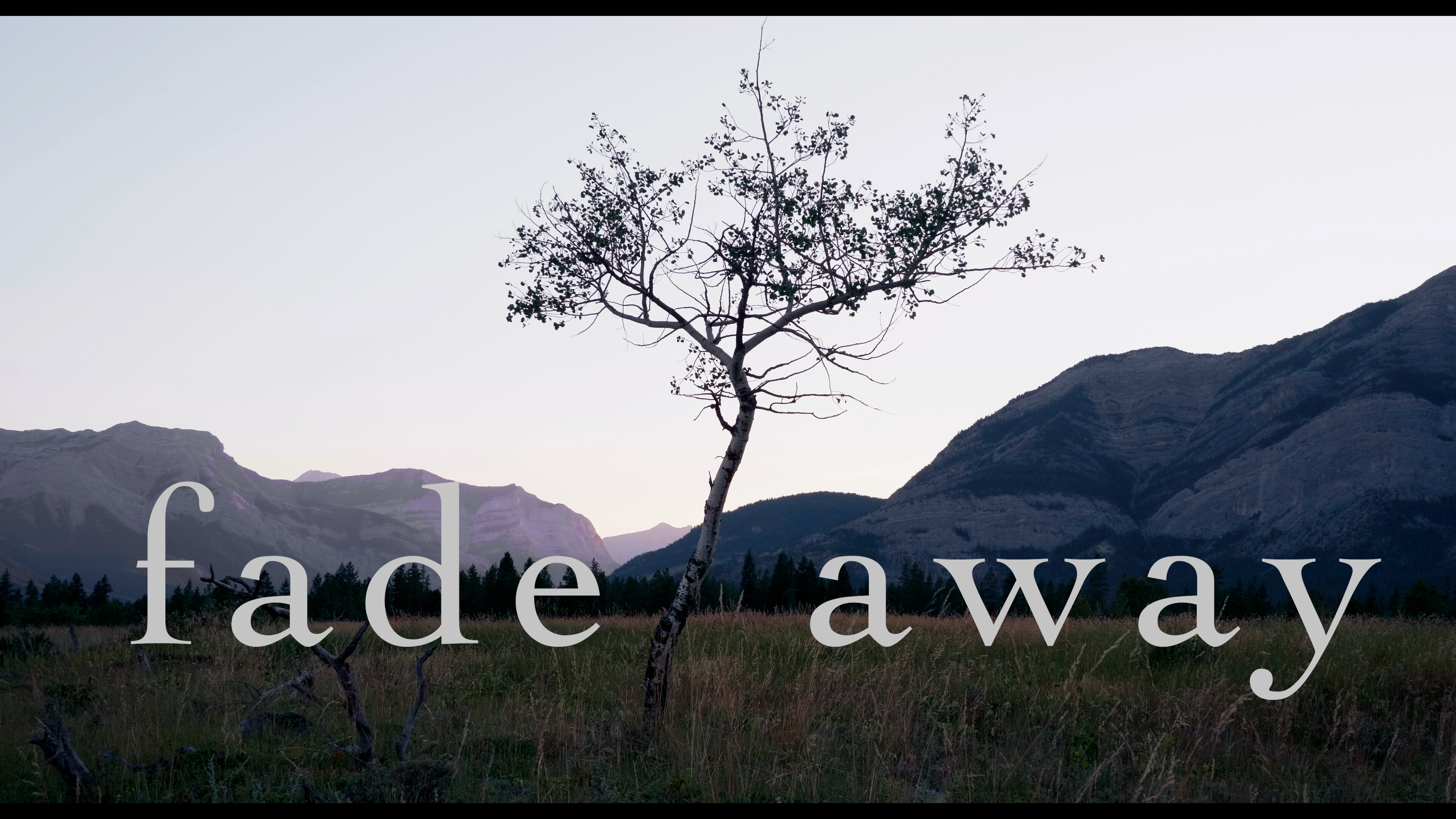 Backdrop for fade away