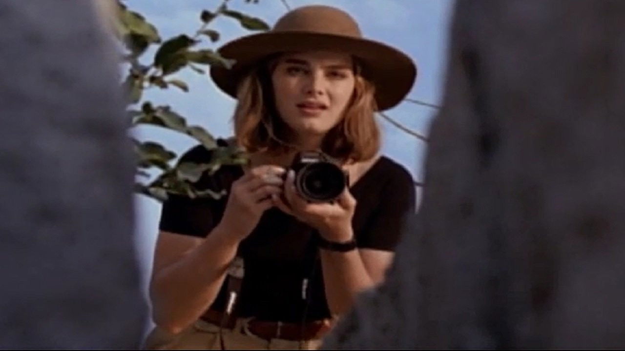 Backdrop for Born Wild