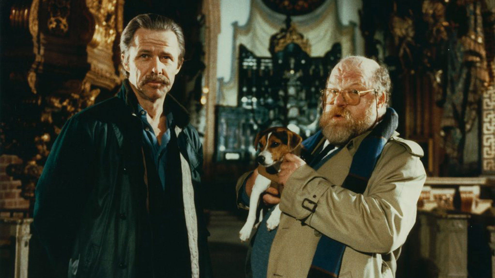 Backdrop for In the Name of the Law