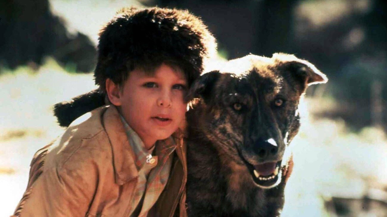 Backdrop for Rugged Gold