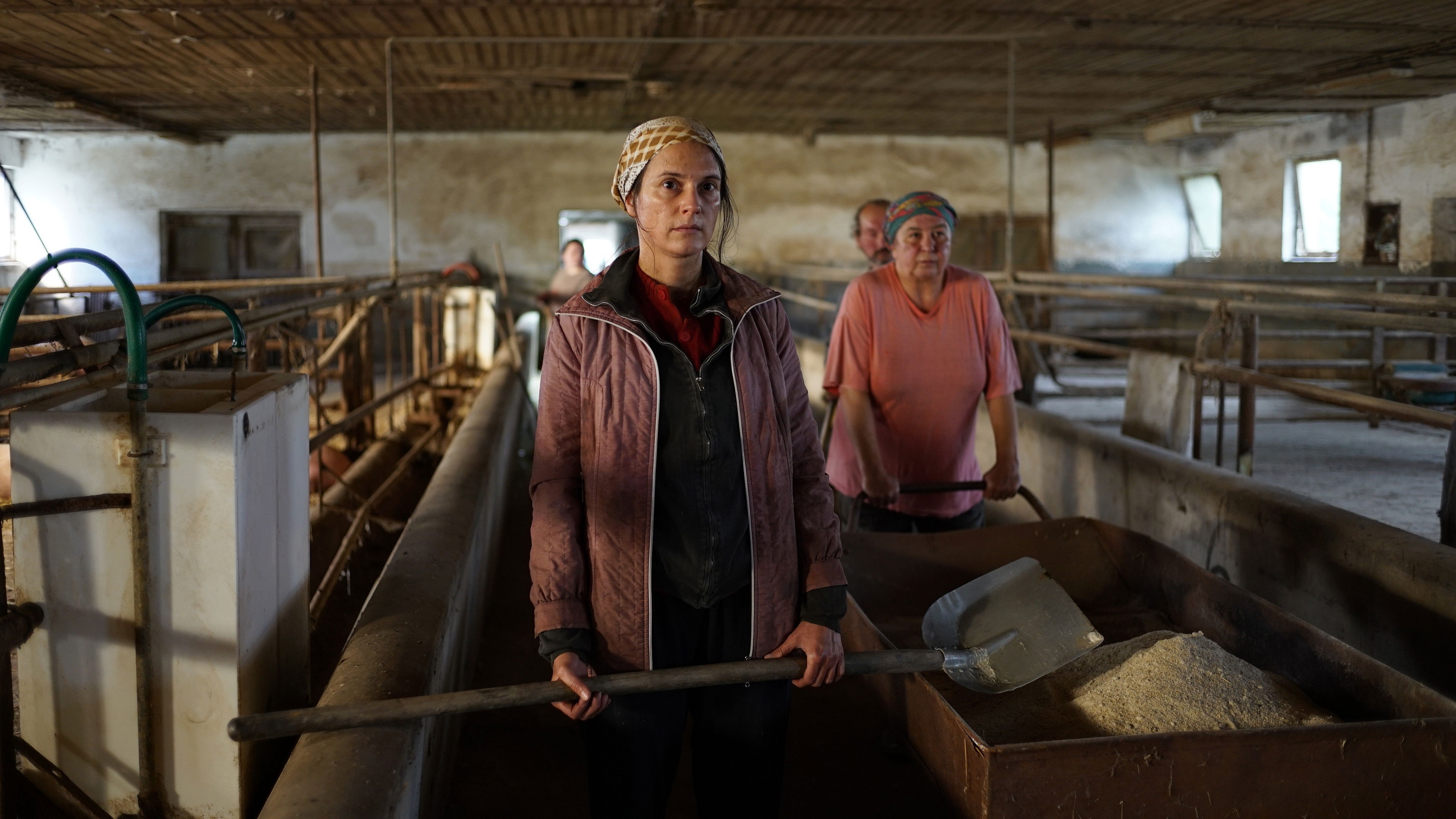 Backdrop for Dry Season