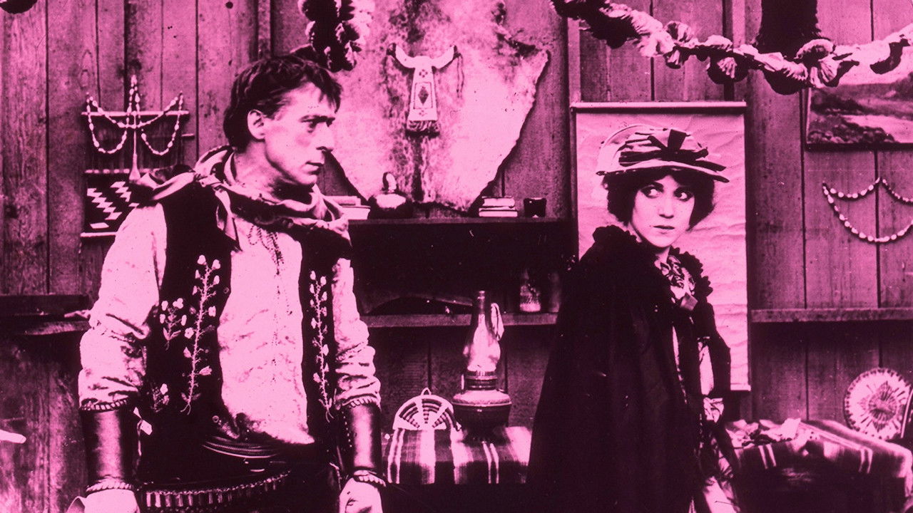 Backdrop for Wolf Lowry